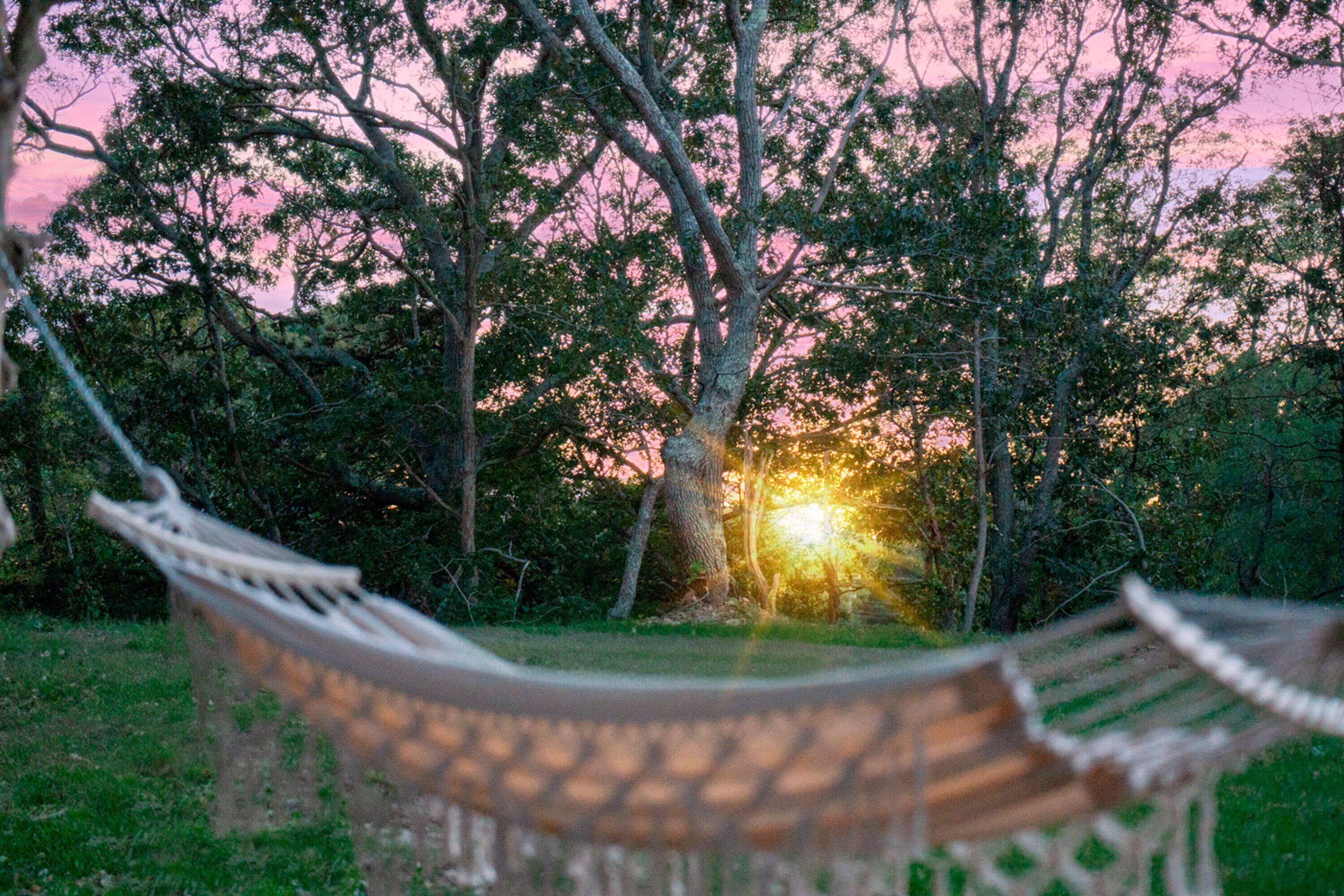 29 Summerwind Lane Centerville, MA 02632 - Photo 5 of 95 Sunset View From The Property