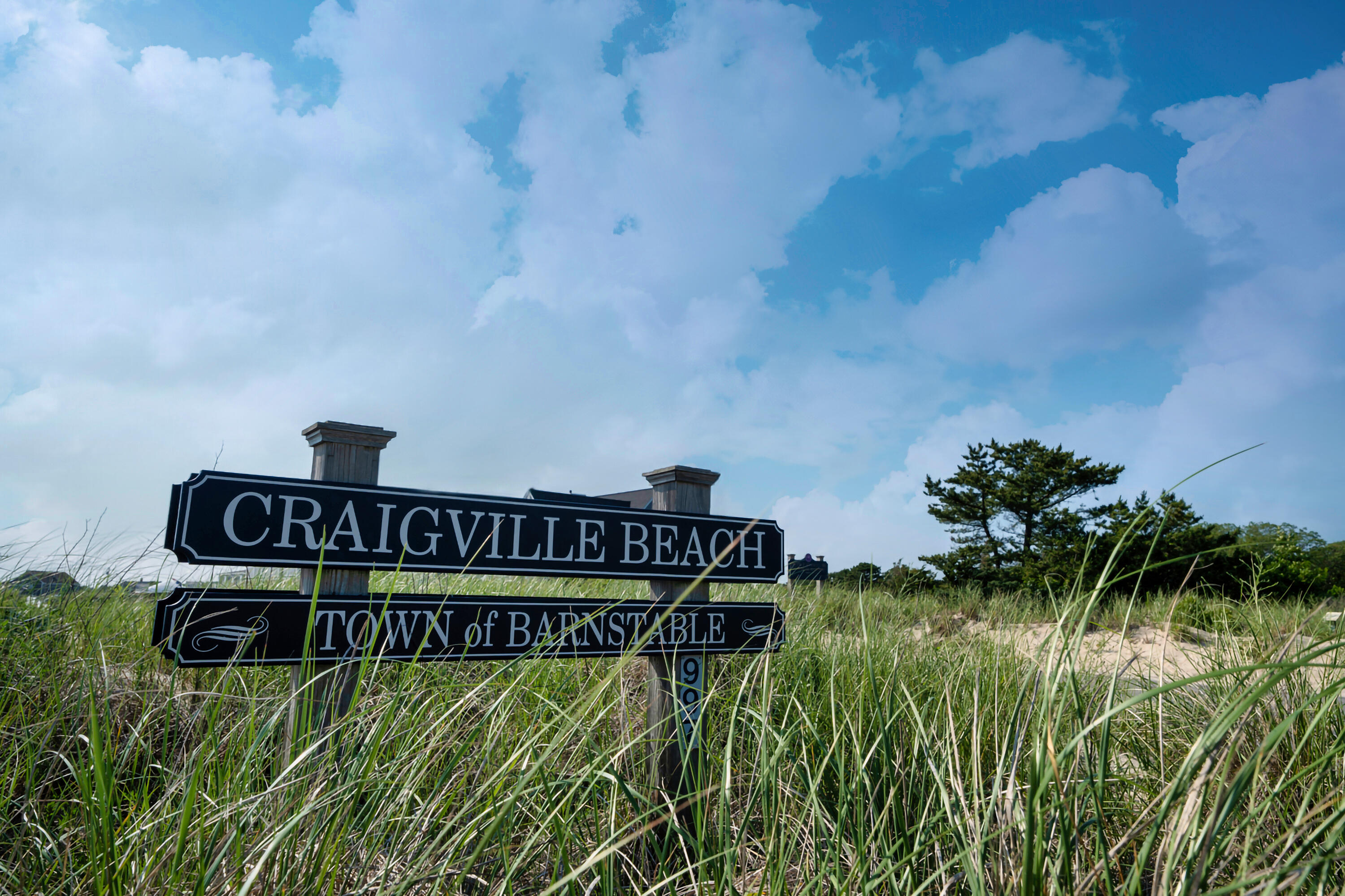 29 Summerwind Lane Centerville, MA 02632 - Photo 81 of 95 Craigville Beach