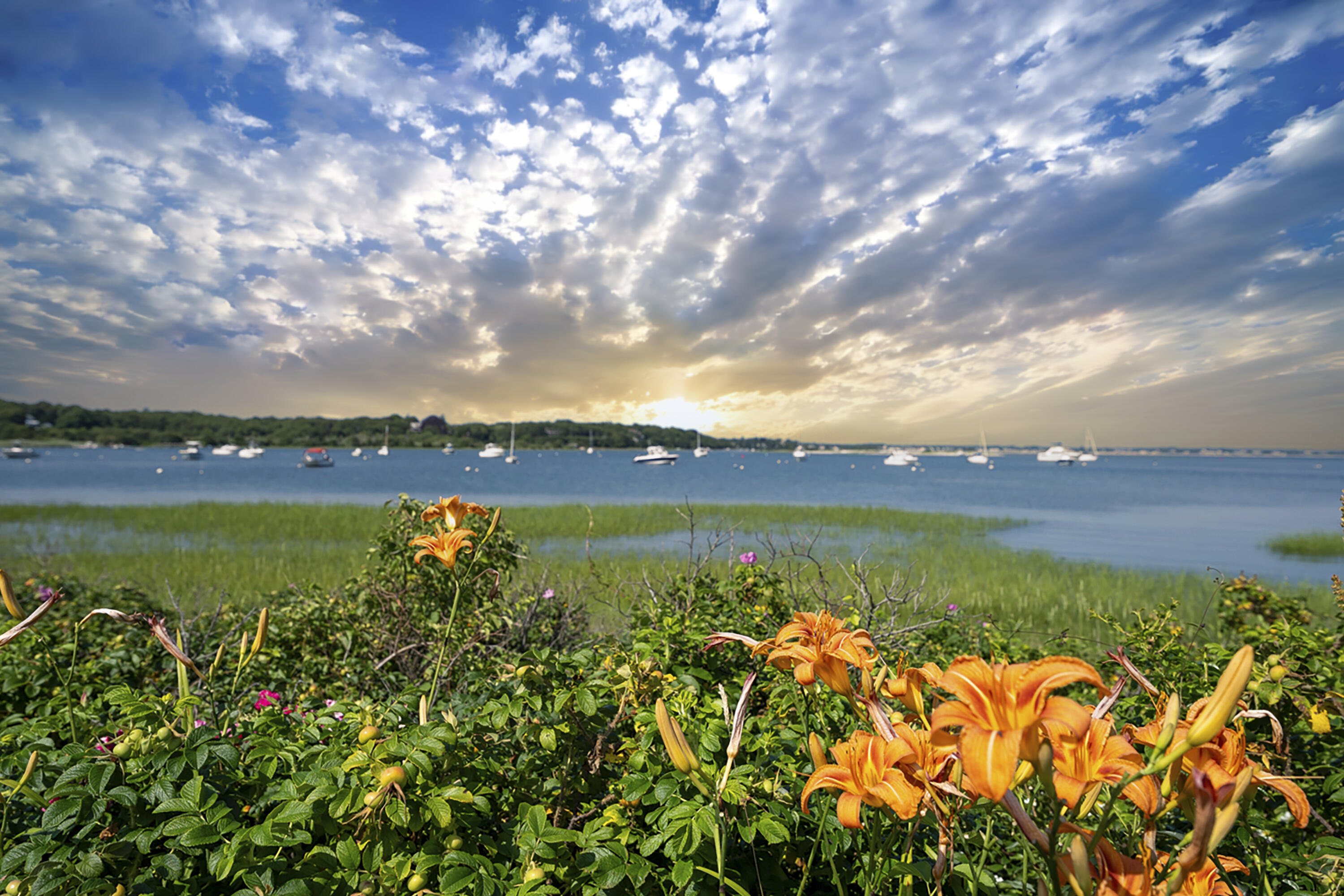 29 Summerwind Lane Centerville, MA 02632 - Photo 84 of 95 Cape Cod Beauty