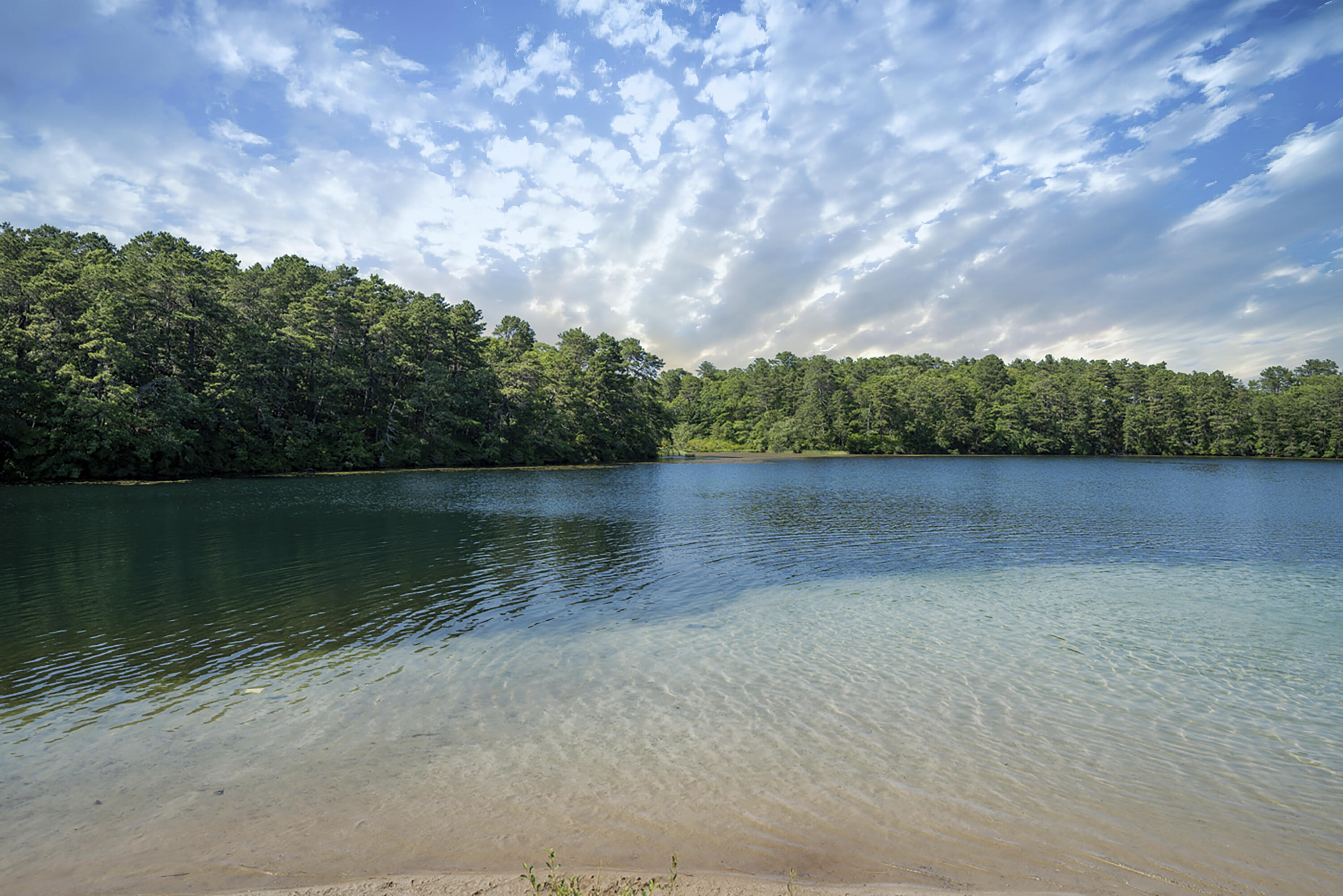 29 Summerwind Lane Centerville, MA 02632 - Photo 87 of 95 Joshua's Pond
