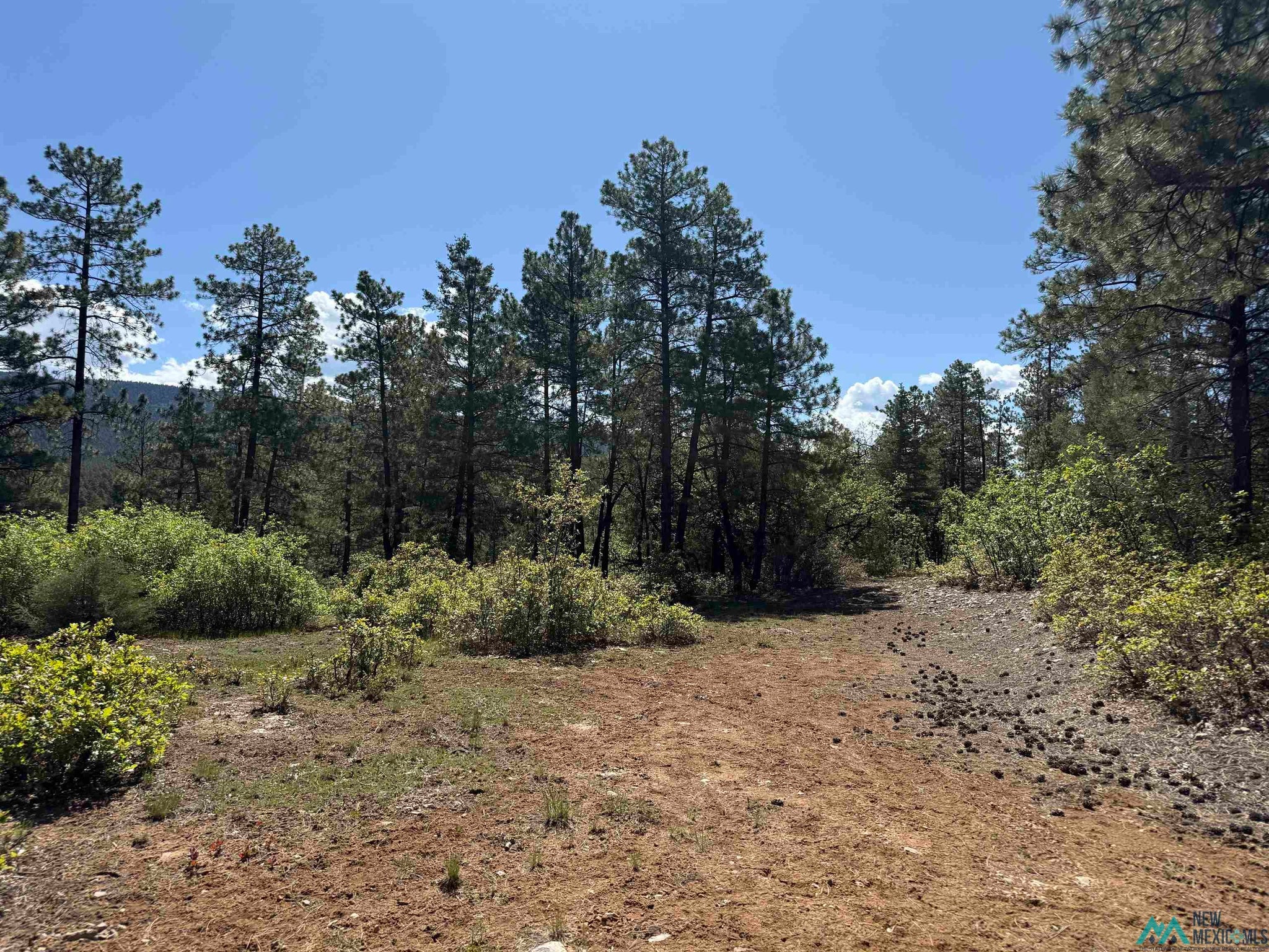 Buckman Road Chama, NM 87520 - Photo 2 of 11 Gallery Image 2