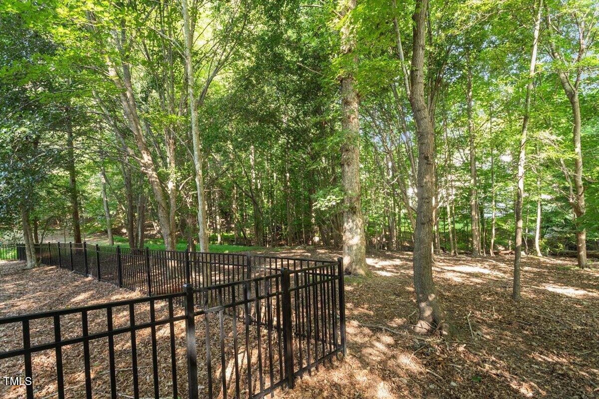 1913 Katesbridge Lane Raleigh, NC 27614 - Photo 32 of 38 a view of a forest