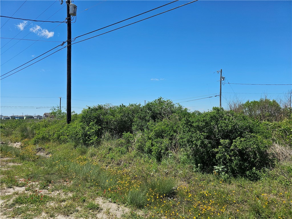 227 Palmetto Point Road Rockport, TX 78382 - Photo 5 of 10 a view of a big yard with a tree