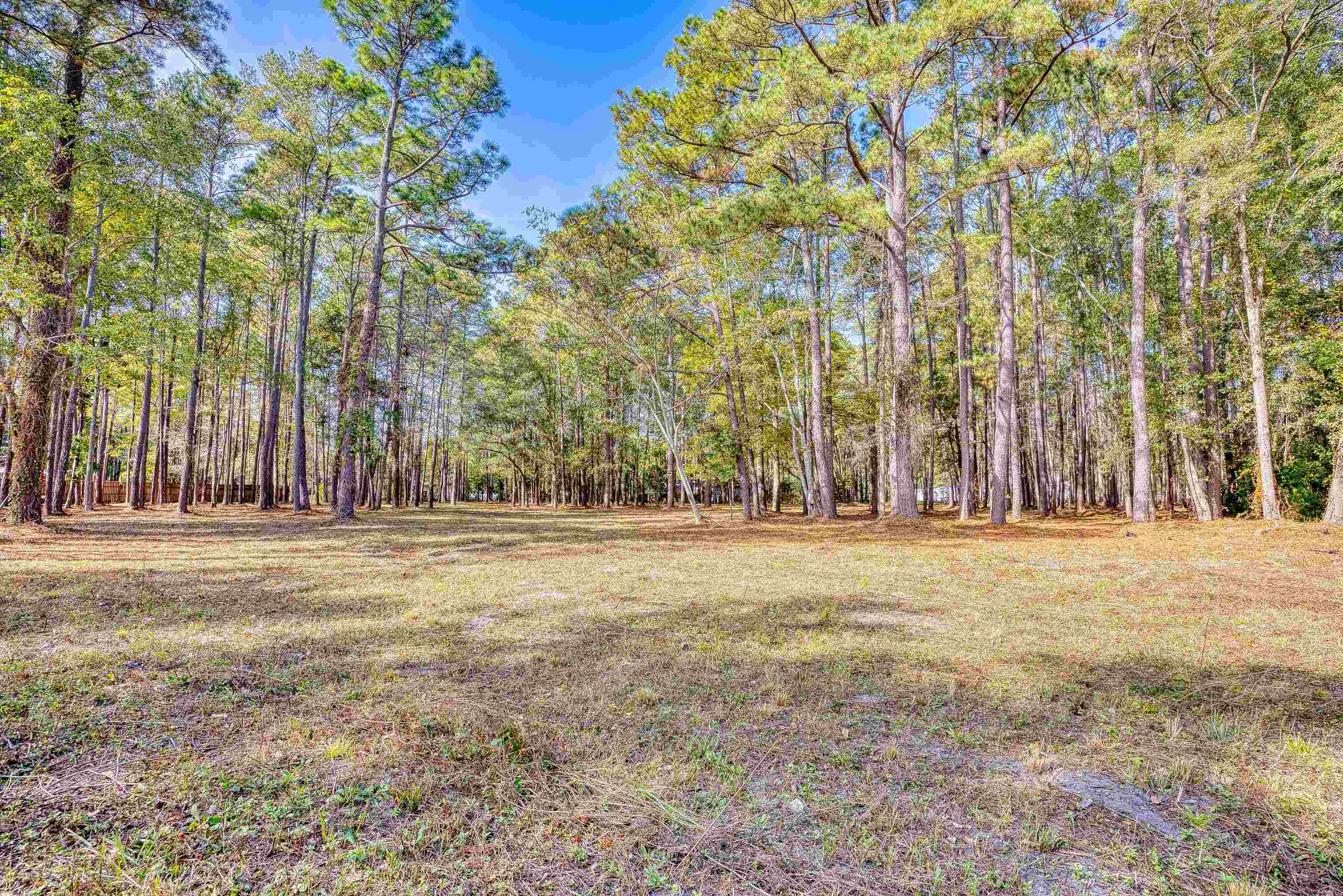 4250 Lilac Road Myrtle Beach, SC 29588 - Photo 29 of 36