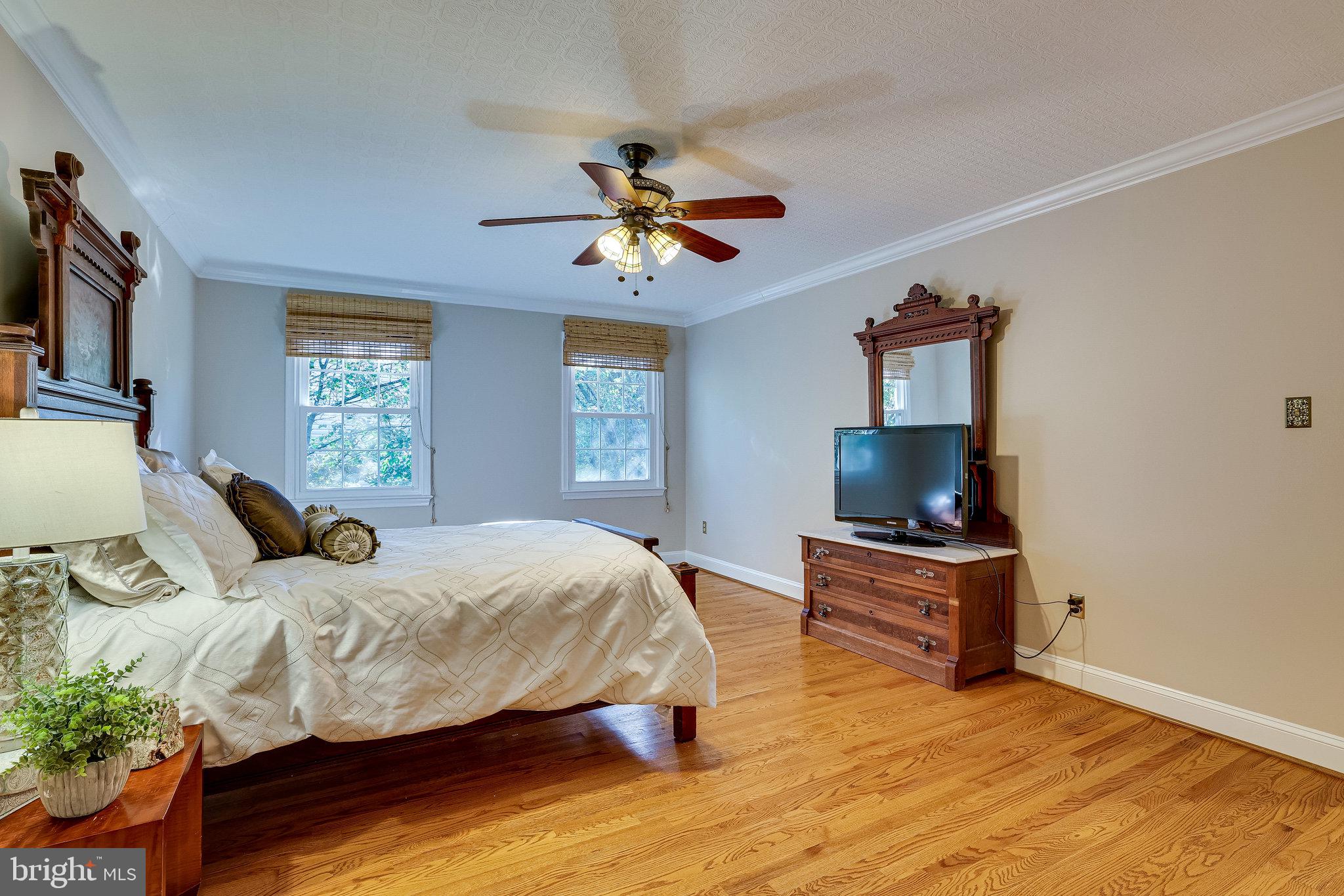 406 Madison Forest Drive Herndon, VA 20170 - Photo 48 of 78 Ceiling fan. Walk in closet.