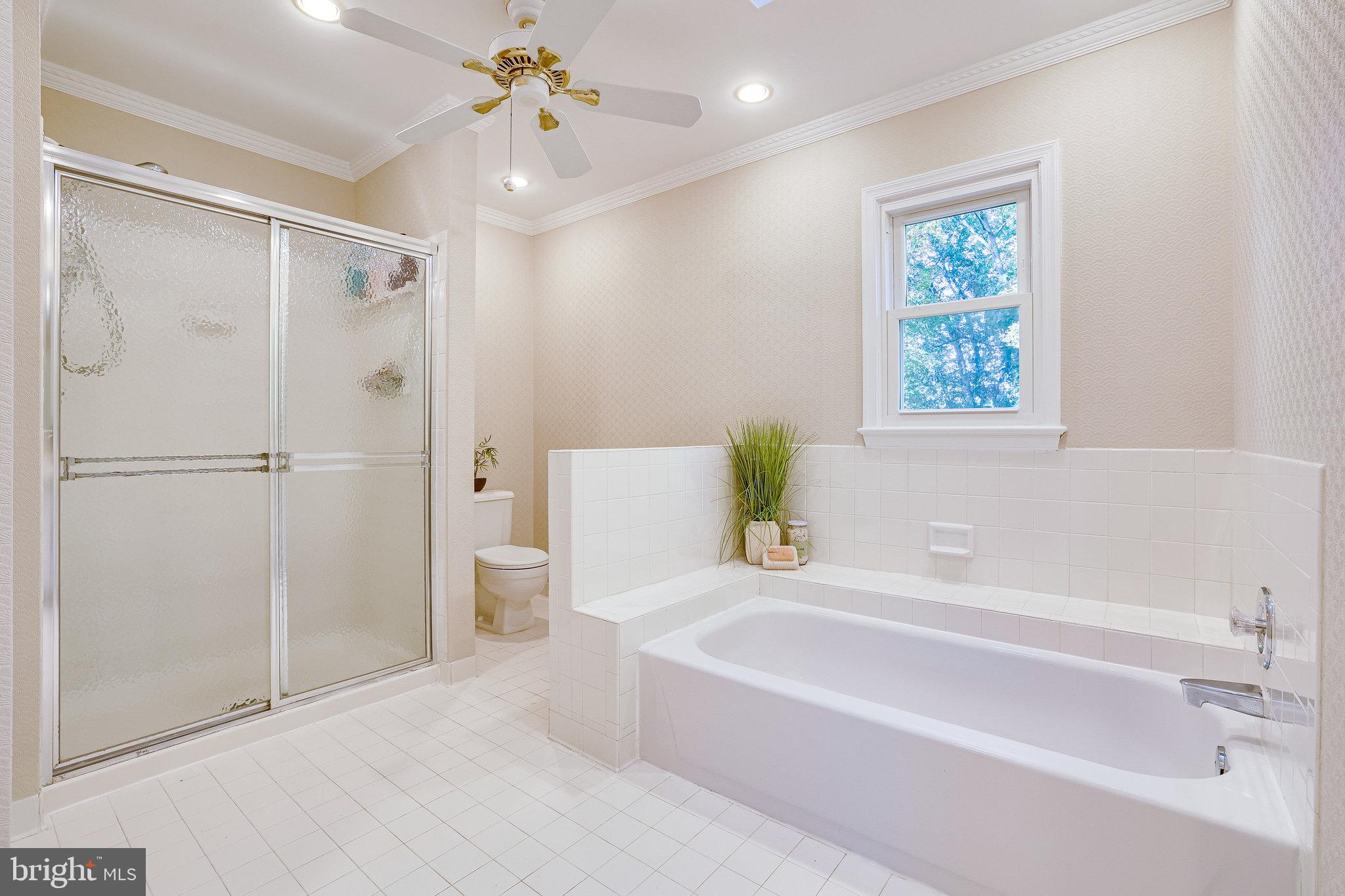 406 Madison Forest Drive Herndon, VA 20170 - Photo 53 of 78 Soaking tub and separate shower.