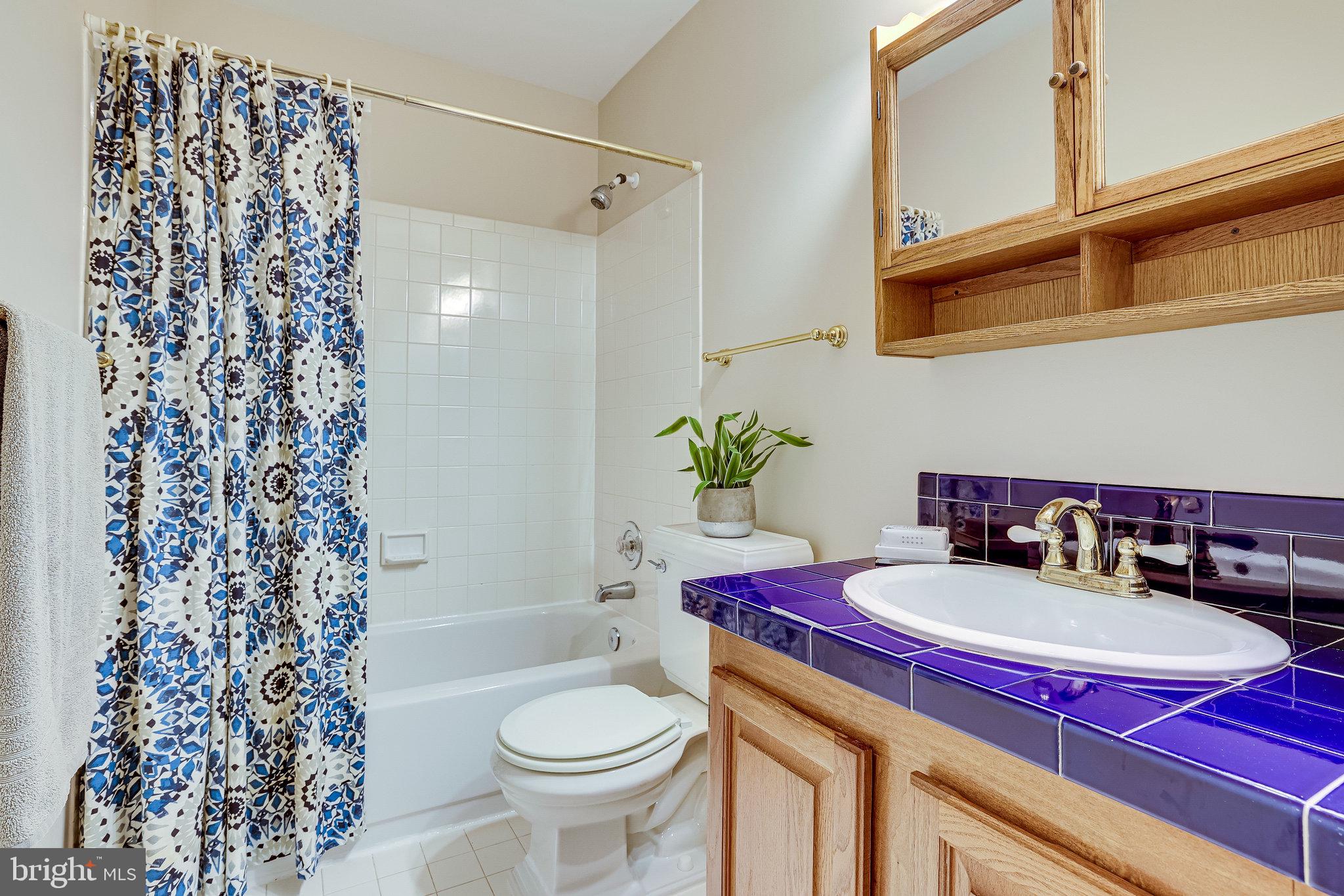 406 Madison Forest Drive Herndon, VA 20170 - Photo 64 of 78 Upper level hall bathroom.