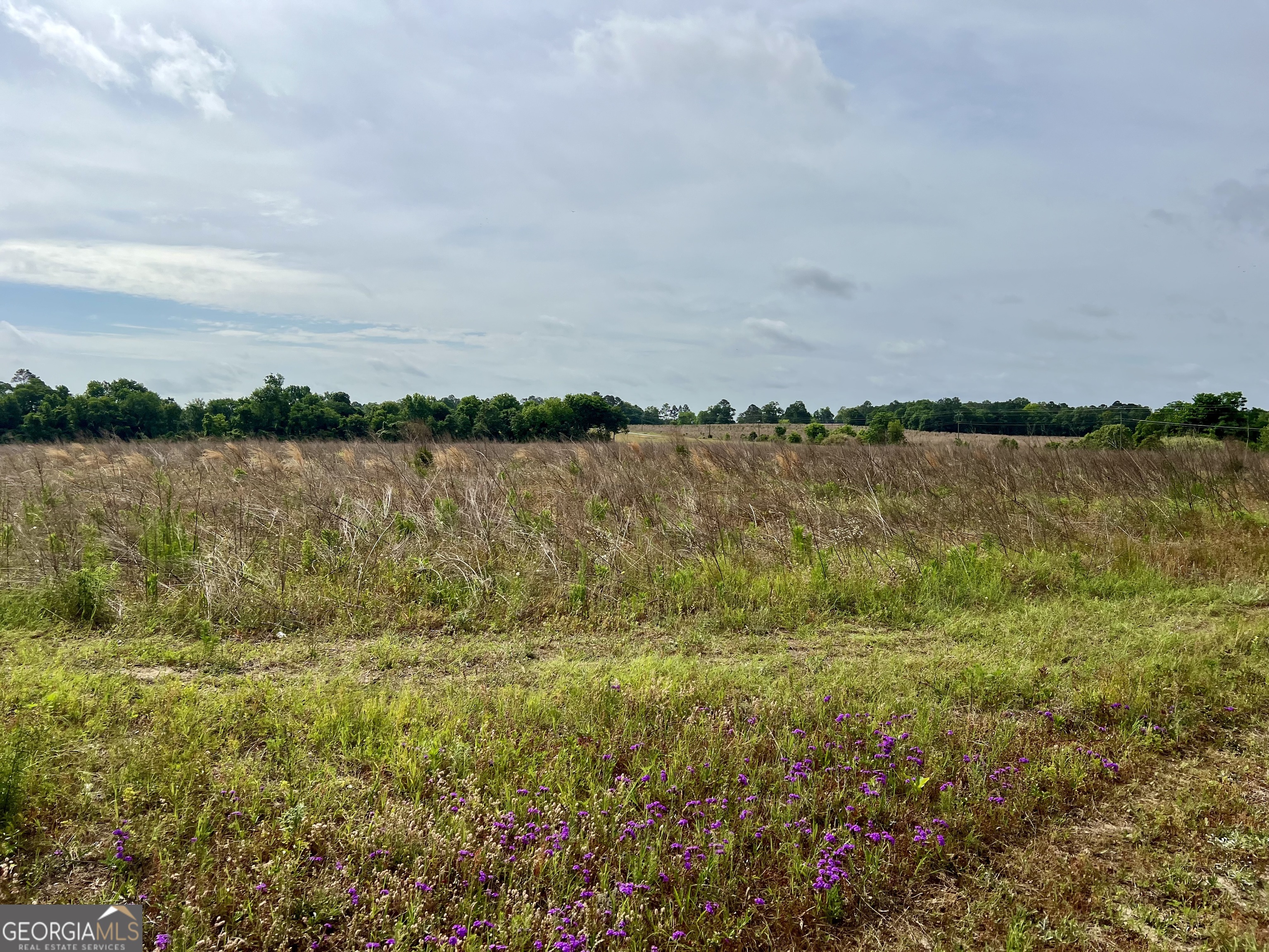 0 I-16 & Pinehill Road Dublin, GA 31021 - Photo 17 of 41