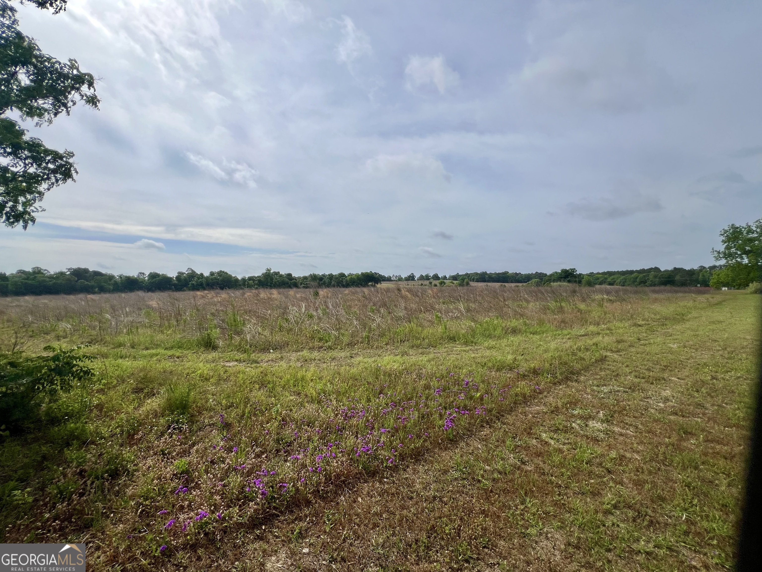 0 I-16 & Pinehill Road Dublin, GA 31021 - Photo 18 of 41