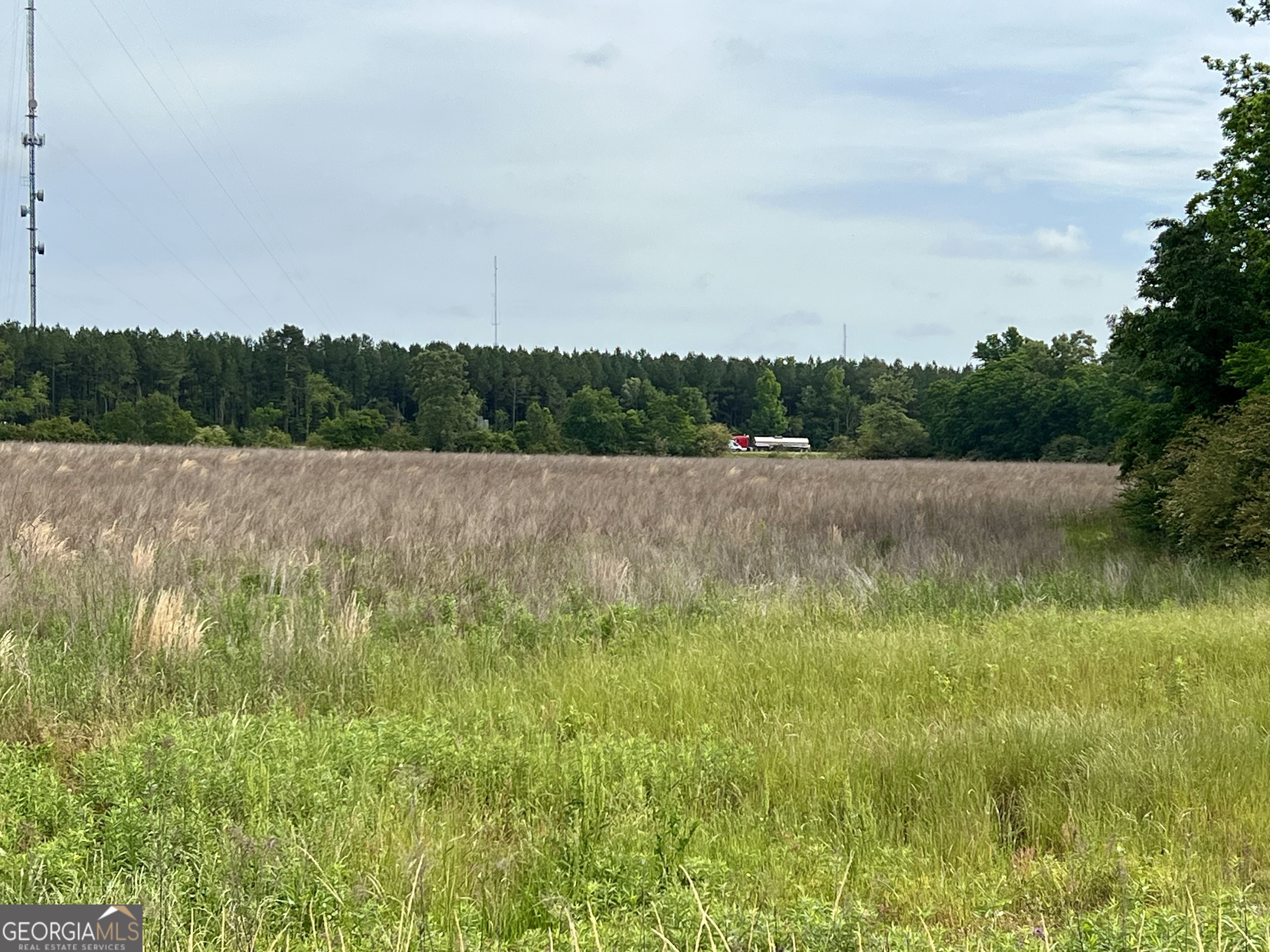 0 I-16 & Pinehill Road Dublin, GA 31021 - Photo 19 of 41