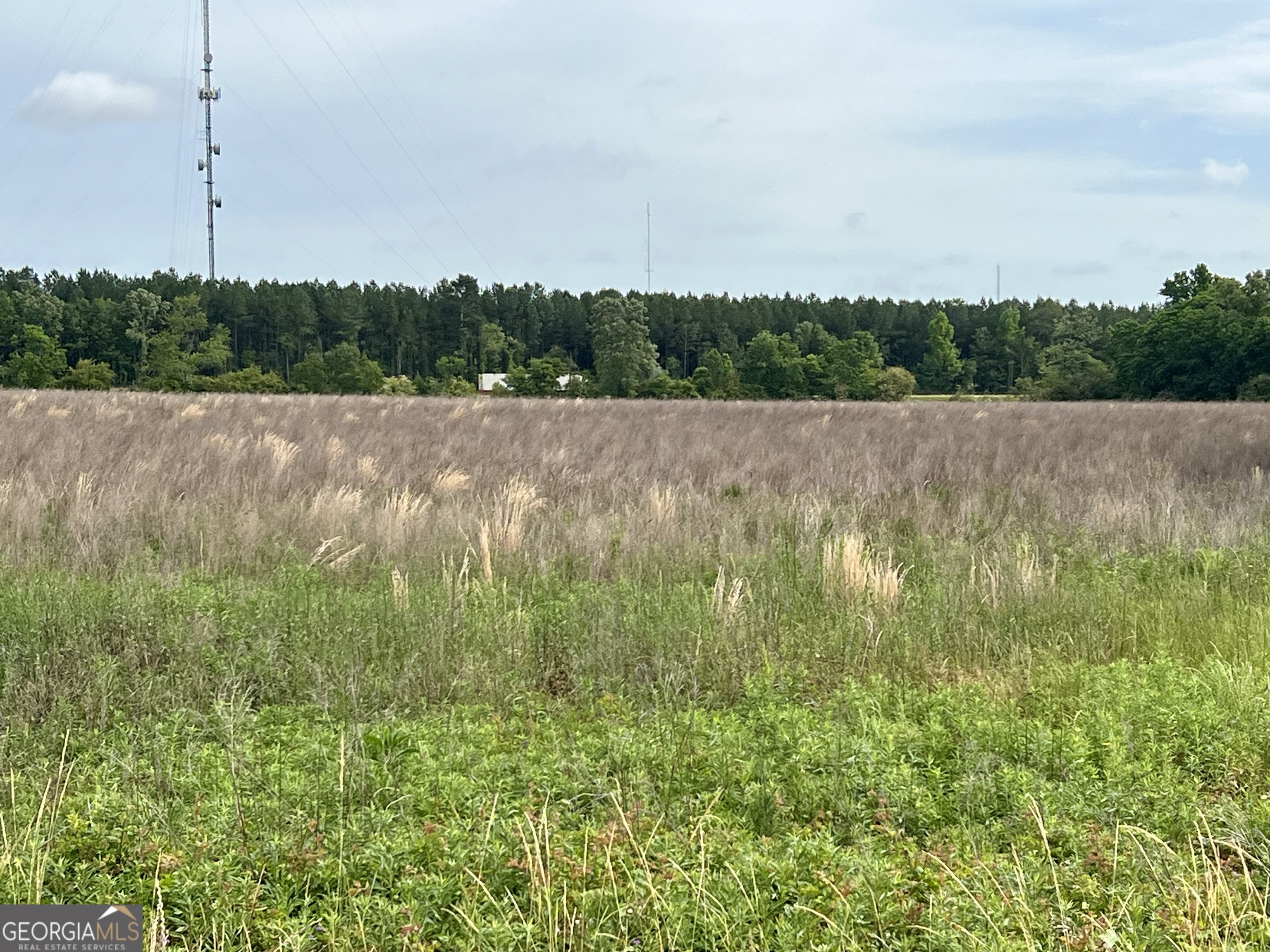 0 I-16 & Pinehill Road Dublin, GA 31021 - Photo 20 of 41