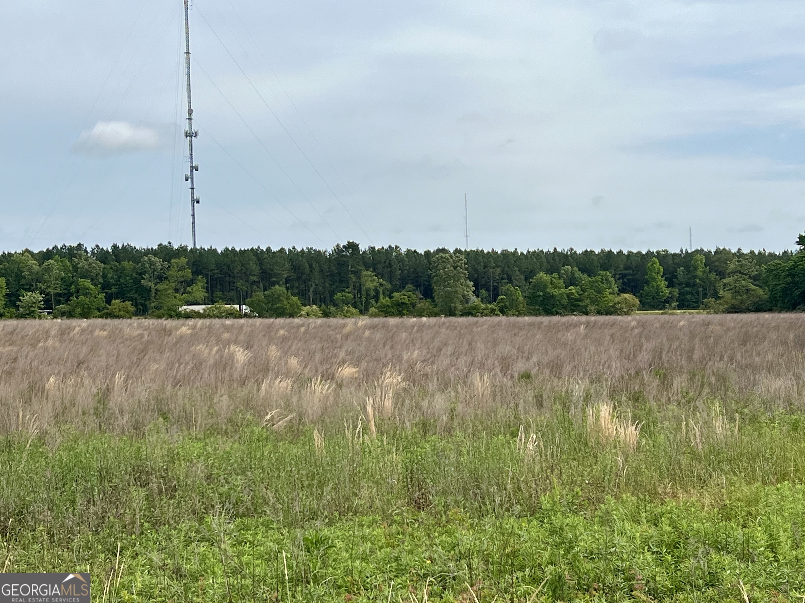 0 I-16 & Pinehill Road Dublin, GA 31021 - Photo 21 of 41