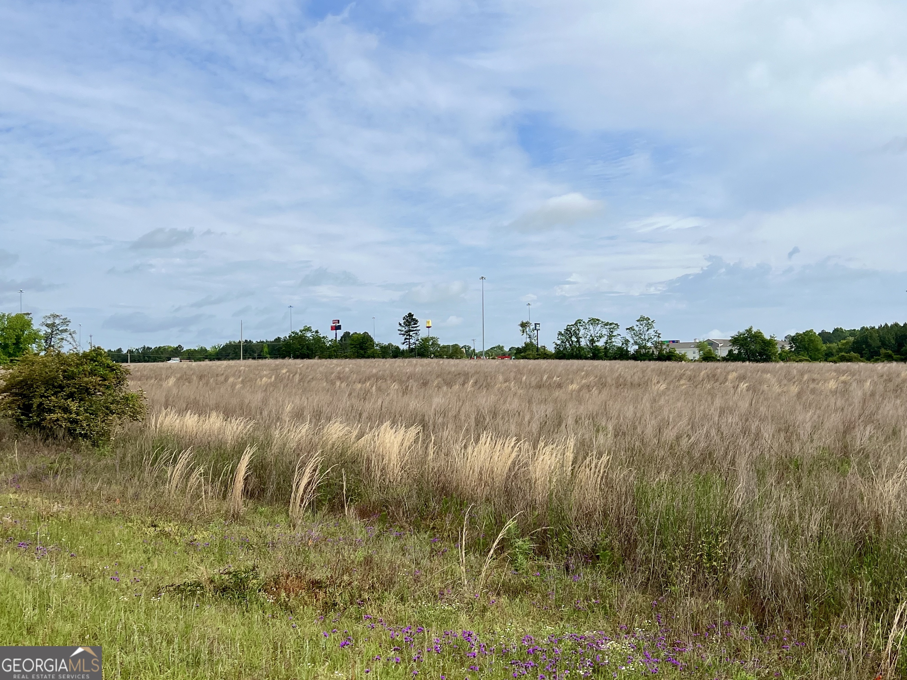 0 I-16 & Pinehill Road Dublin, GA 31021 - Photo 22 of 41