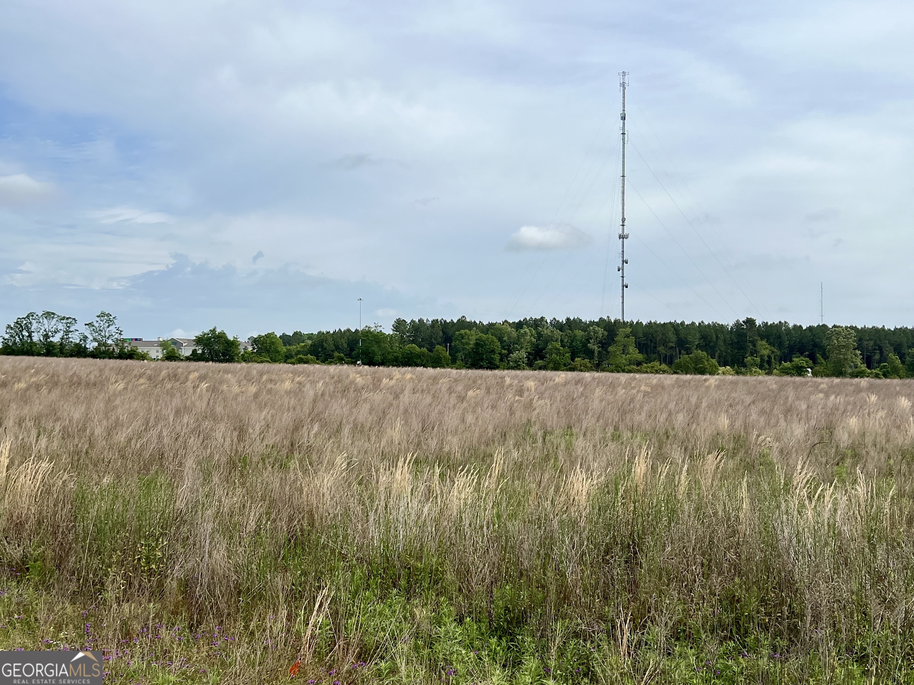 0 I-16 & Pinehill Road Dublin, GA 31021 - Photo 23 of 41