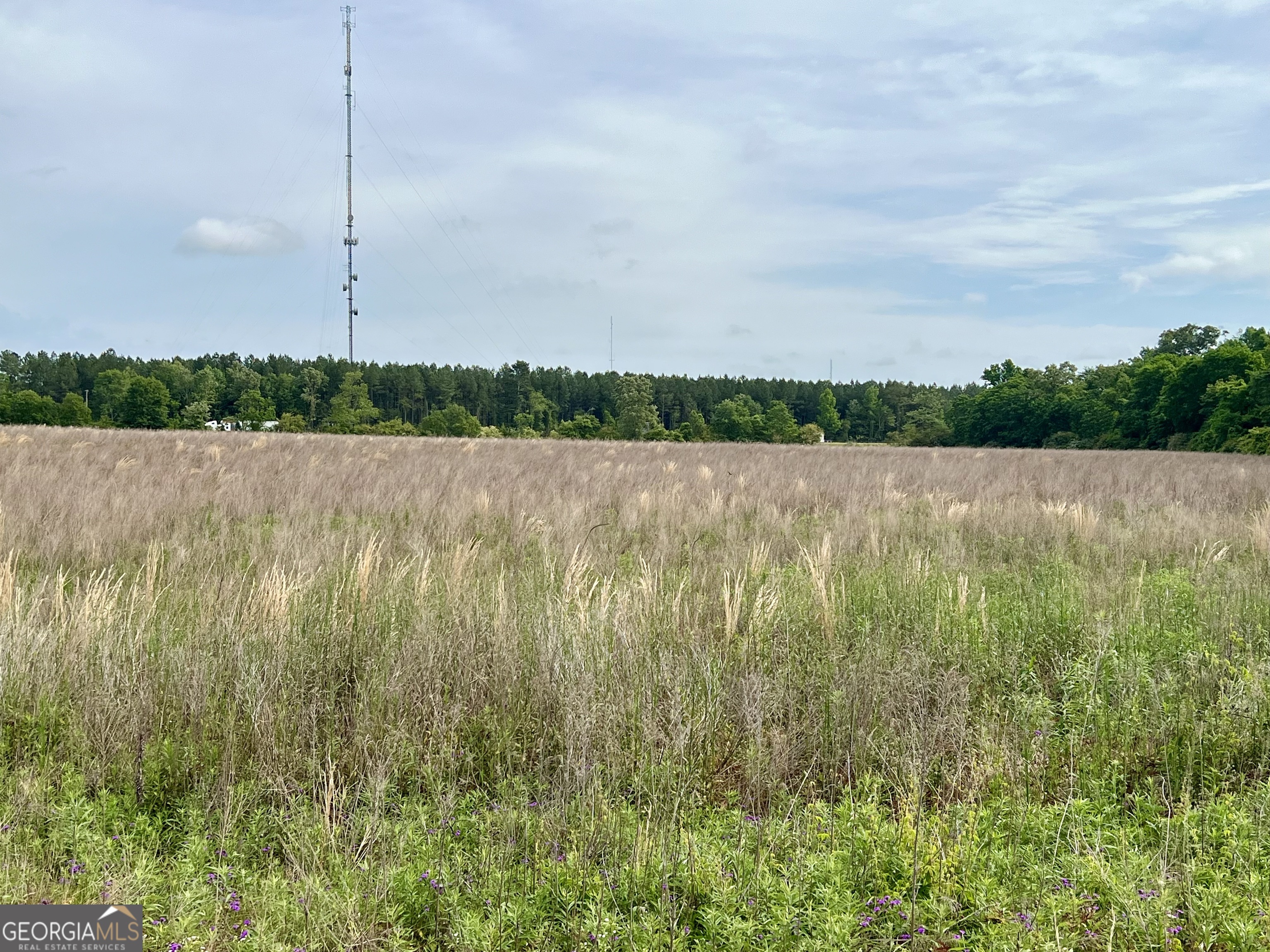 0 I-16 & Pinehill Road Dublin, GA 31021 - Photo 24 of 41