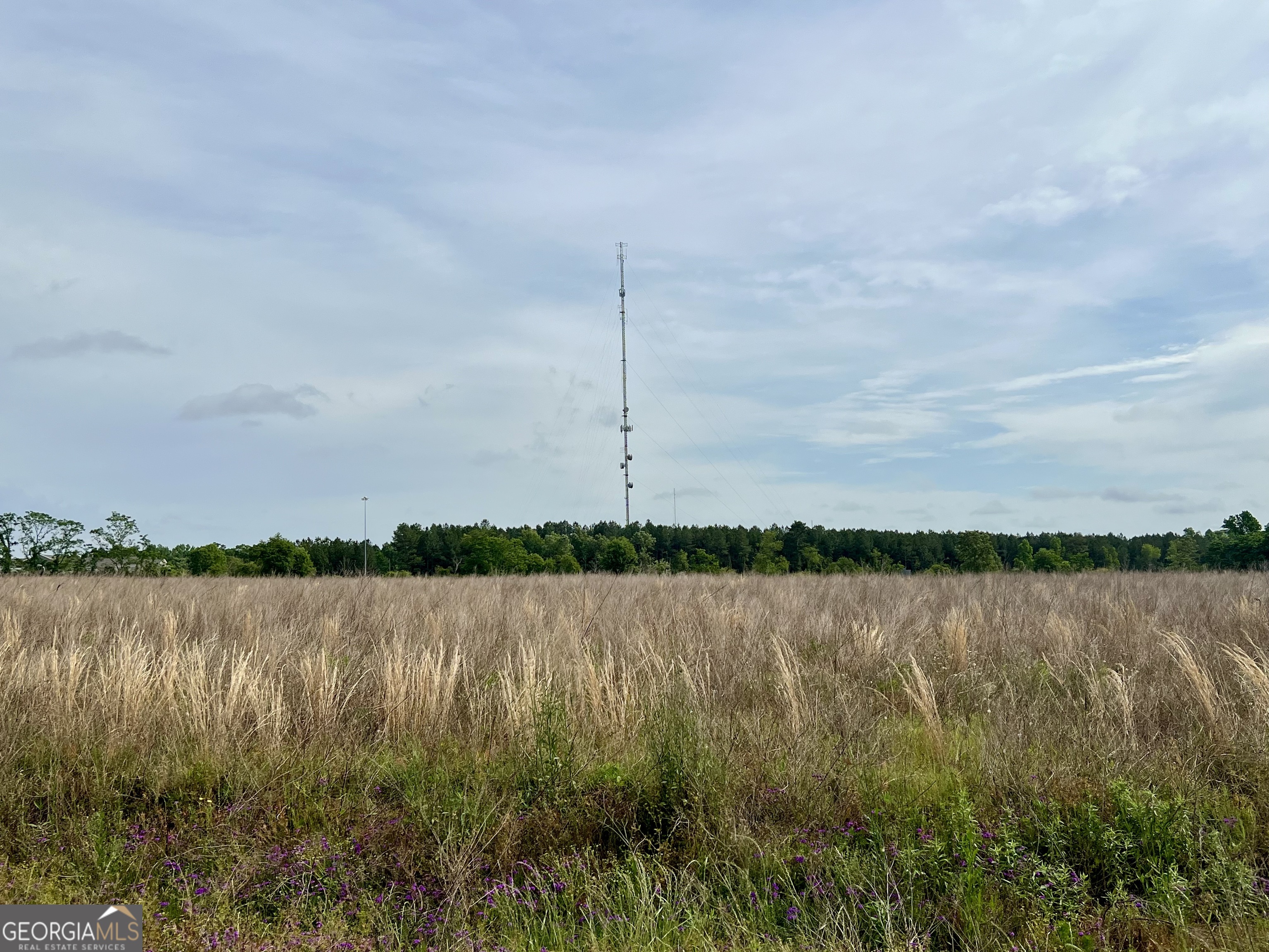 0 I-16 & Pinehill Road Dublin, GA 31021 - Photo 26 of 41