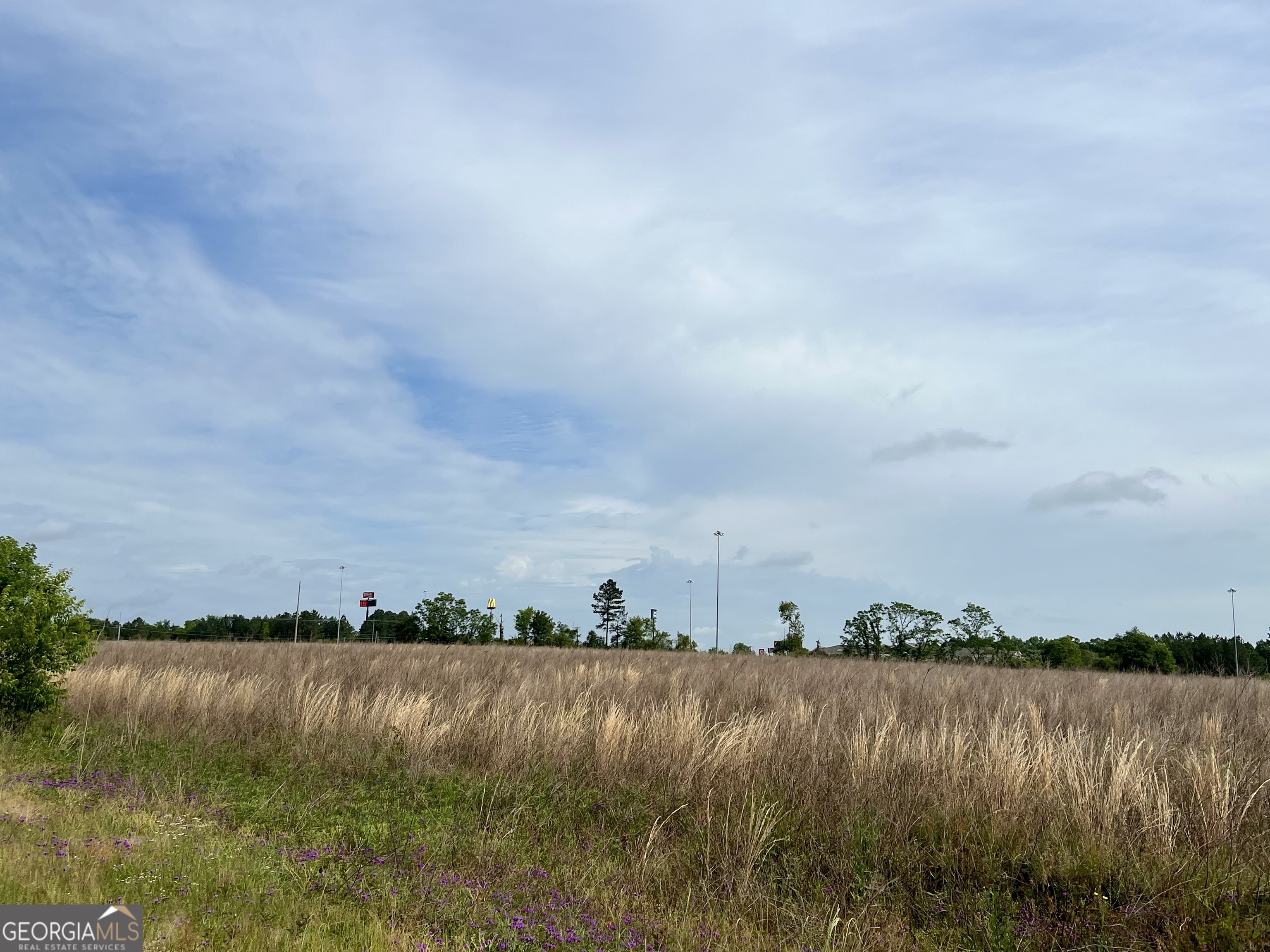 0 I-16 & Pinehill Road Dublin, GA 31021 - Photo 27 of 41