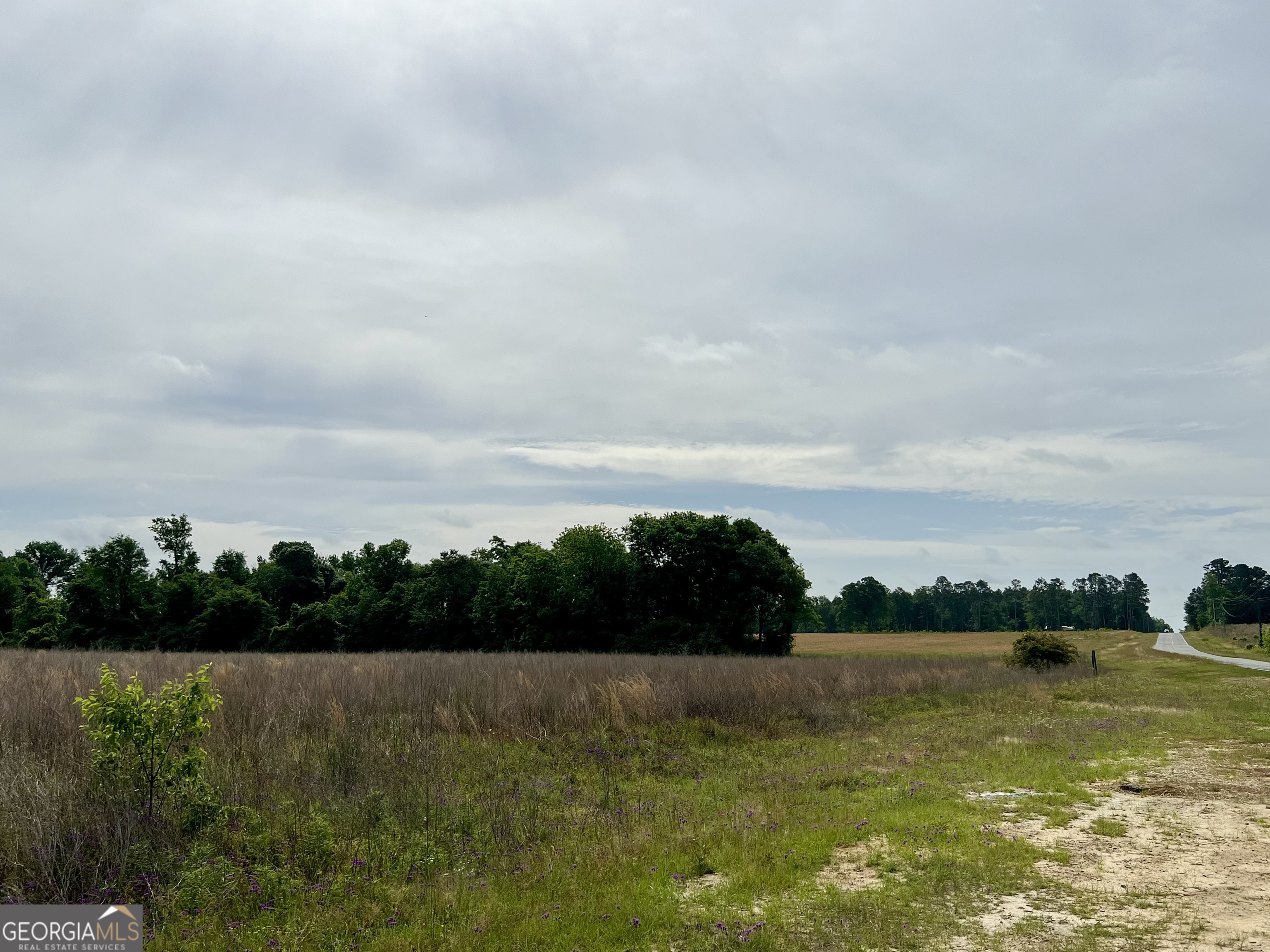 0 I-16 & Pinehill Road Dublin, GA 31021 - Photo 28 of 41