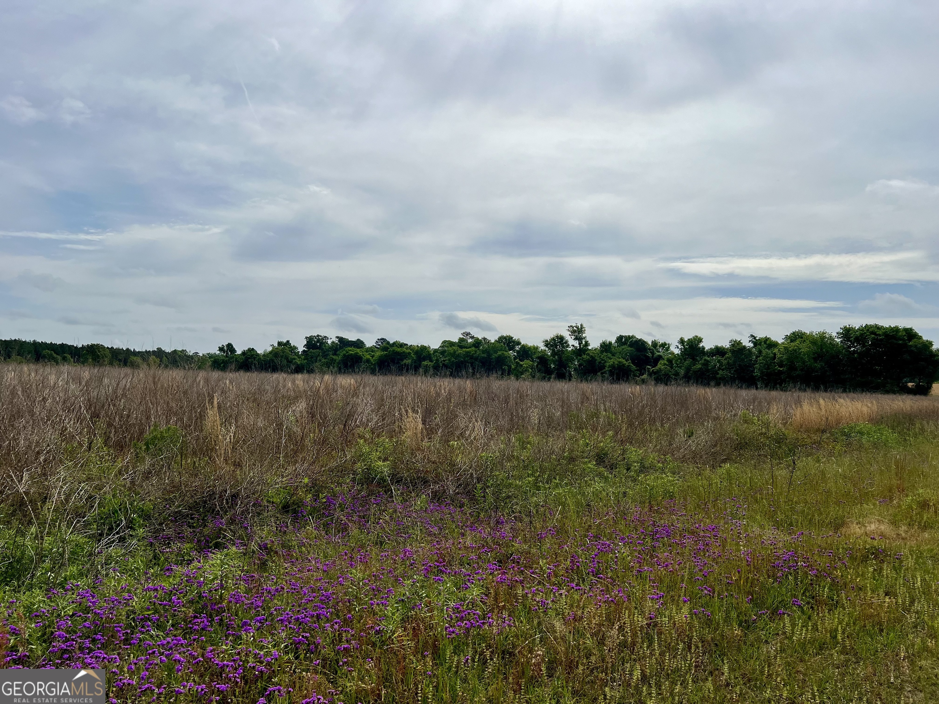 0 I-16 & Pinehill Road Dublin, GA 31021 - Photo 29 of 41