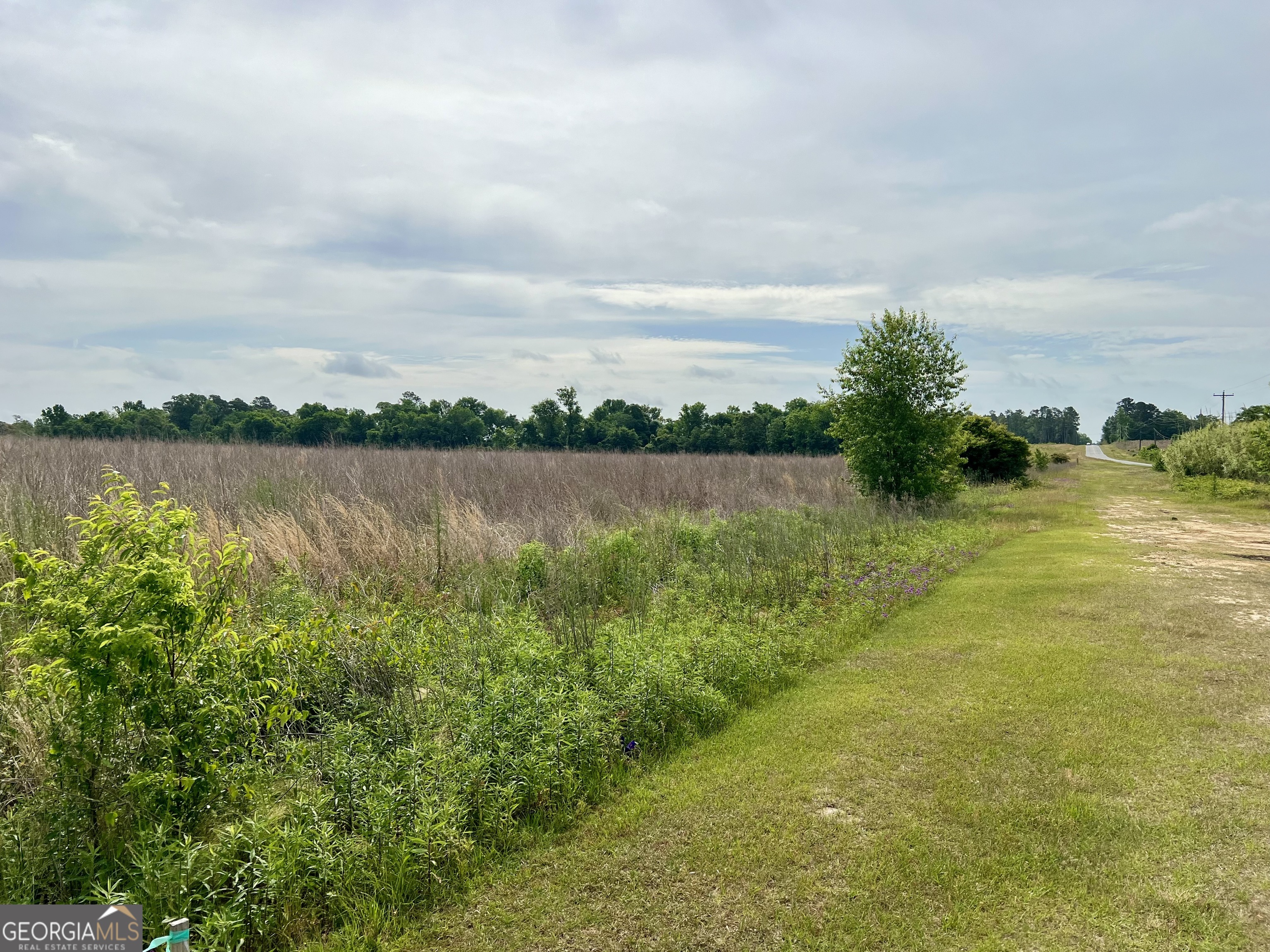 0 I-16 & Pinehill Road Dublin, GA 31021 - Photo 30 of 41