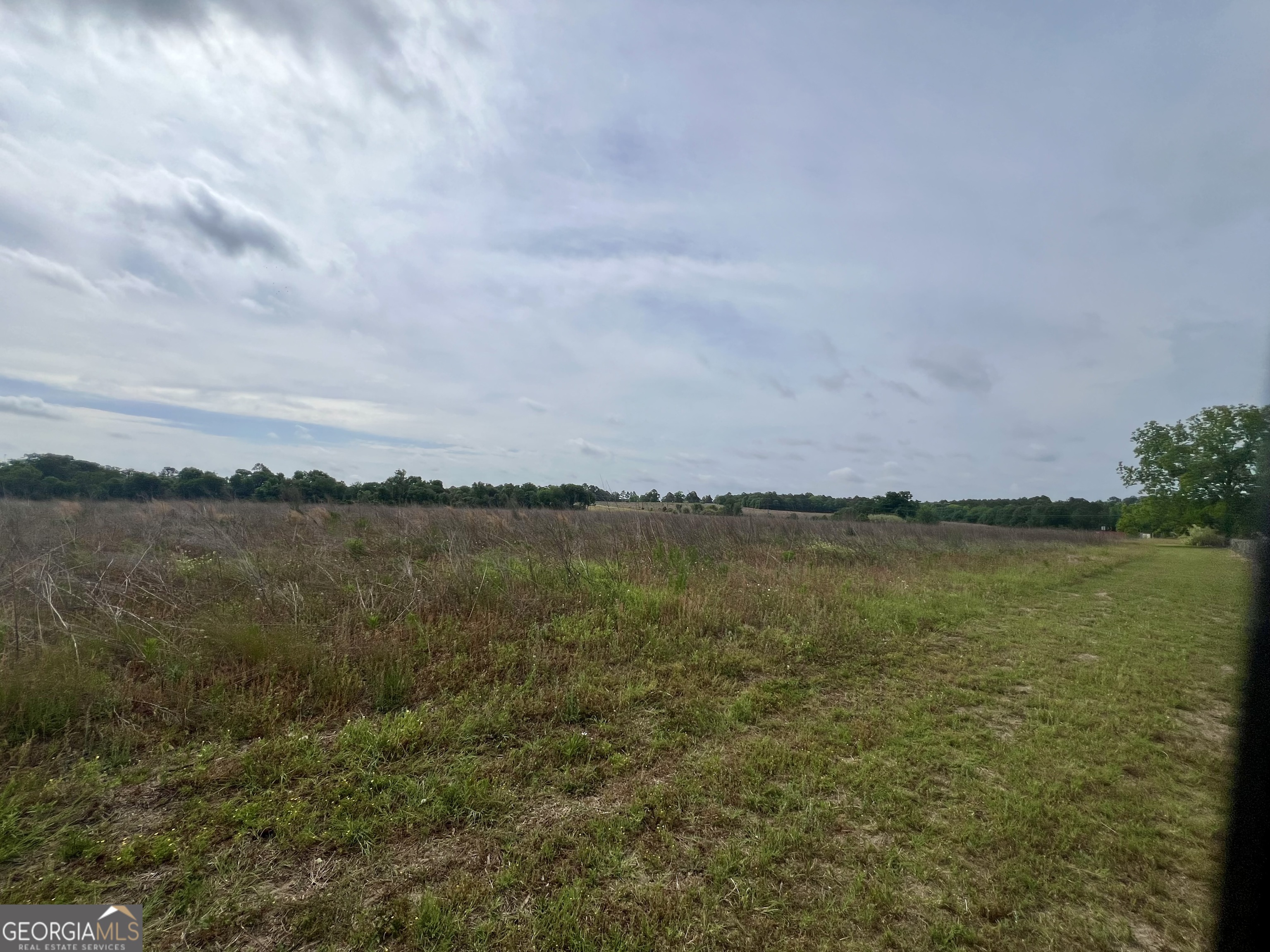 0 I-16 & Pinehill Road Dublin, GA 31021 - Photo 3 of 41