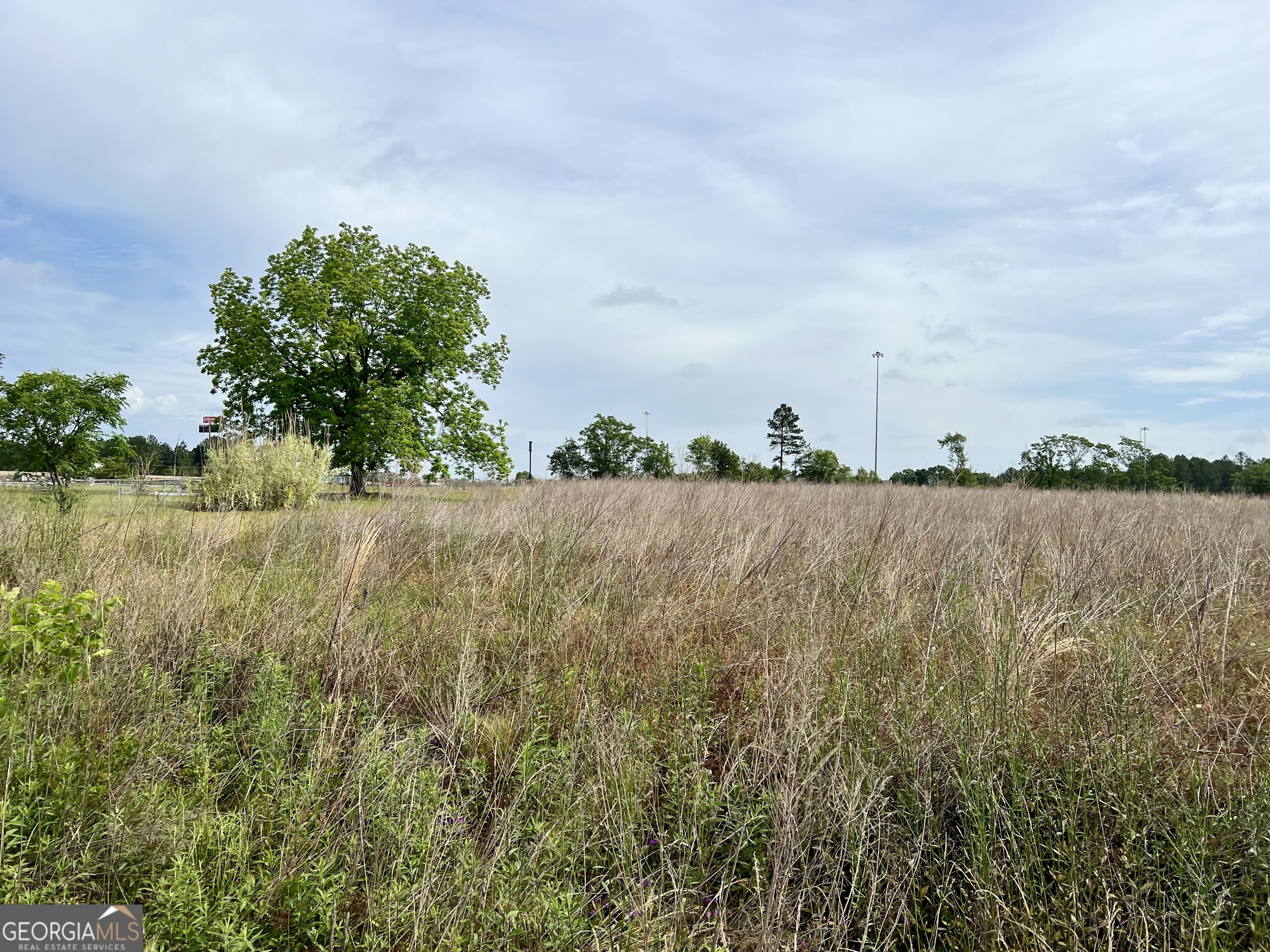 0 I-16 & Pinehill Road Dublin, GA 31021 - Photo 6 of 41
