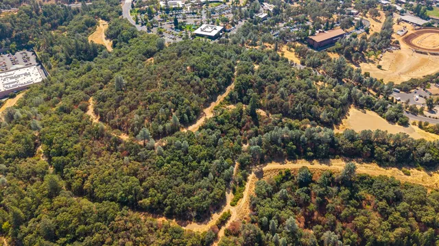 a view of a yard with plants