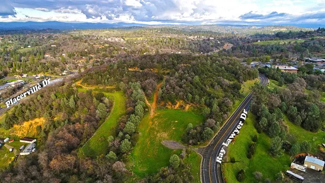a view of city and green space