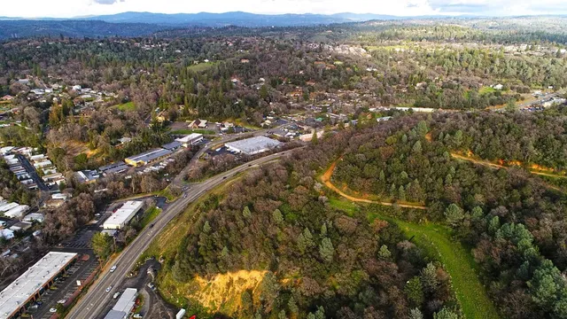 a view of a swimming pool with a yard and plants