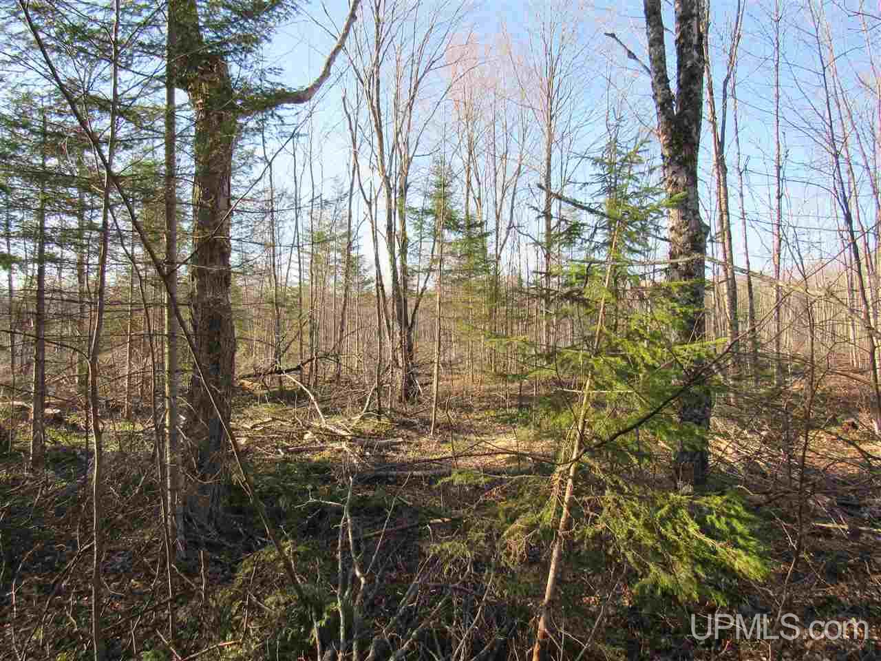 Tbd Tbd Mcmaster Road Skandia, MI 49885 - Photo 6 of 10