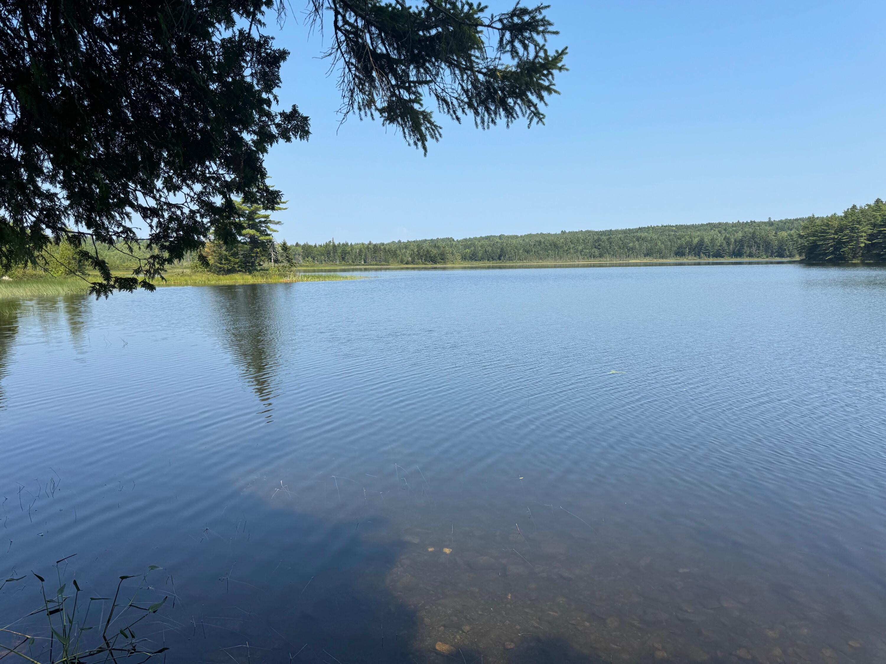 3 Steam Mill Road Robbinston, ME 04671 - Photo 1 of 14 IMG_6474 (1)