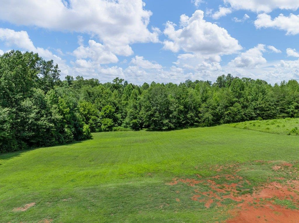295 Old Mill Road Chesnee, SC 29323 - Photo 42 of 50
