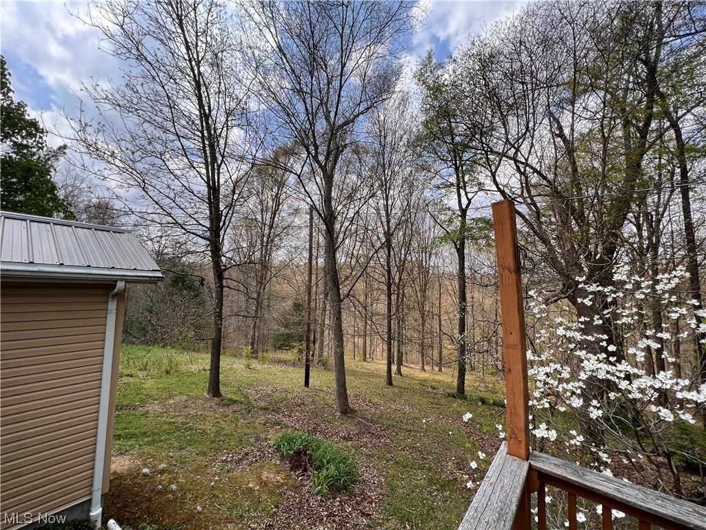 78512 Bose Road Freeport, OH 43973 - Photo 6 of 26 Gallery Image 6