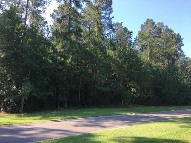 0 Briar Bend Road Ridgeville, SC 29472 - Photo 3 of 4 Winterseat Lot 8 2