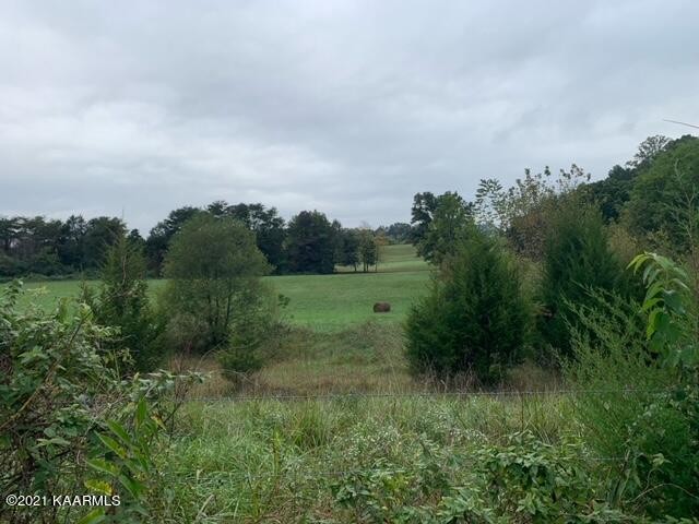 4100 Shipe Road Corryton, TN 37721 - Photo 6 of 9