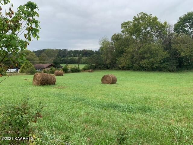 4100 Shipe Road Corryton, TN 37721 - Photo 7 of 9