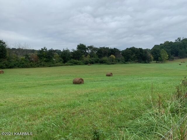 4100 Shipe Road Corryton, TN 37721 - Photo 8 of 9