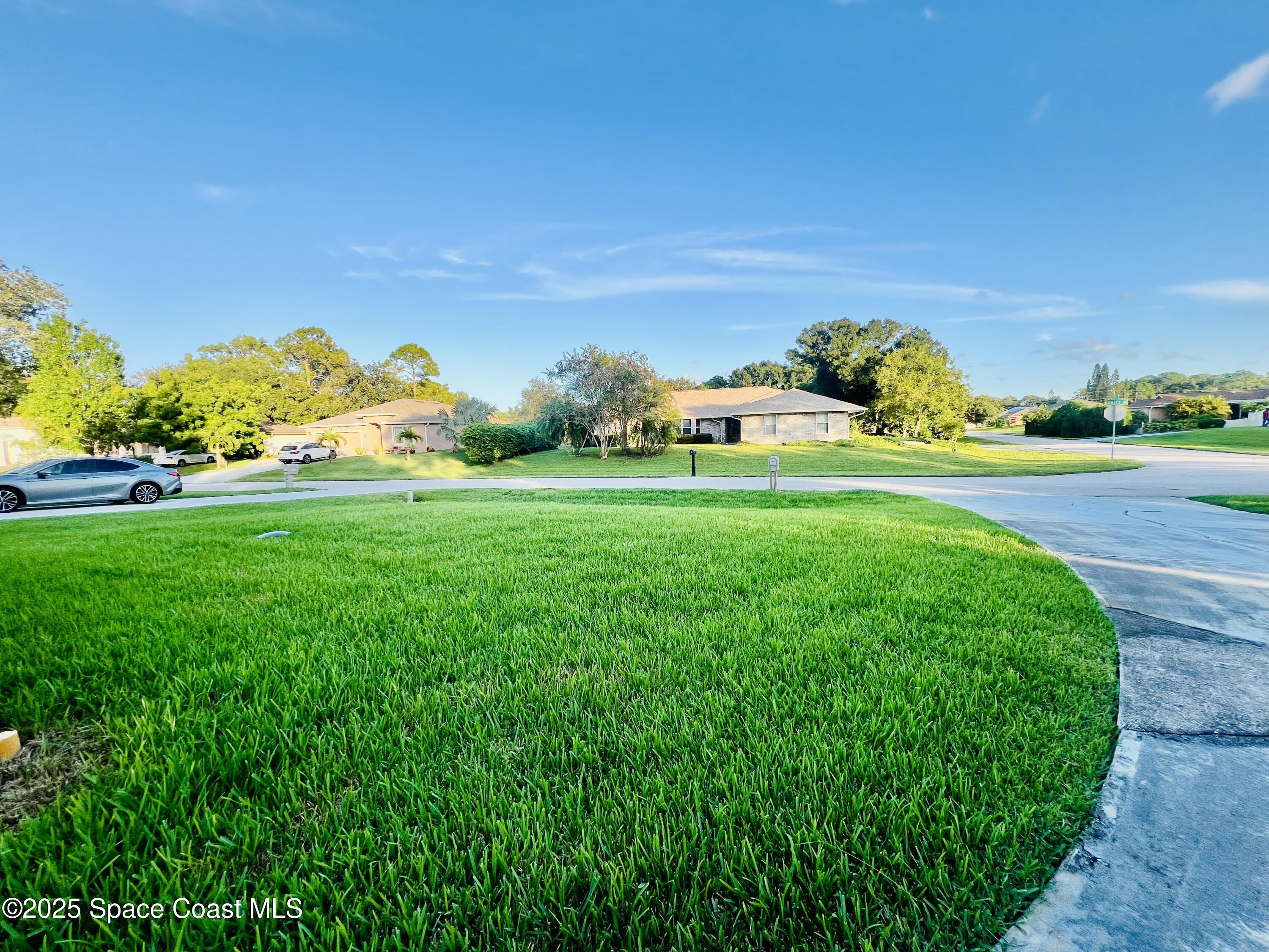 317 Lanack Road Southeast Palm Bay, FL 32909 - Photo 6 of 37 a view of a big yard with plants and large trees