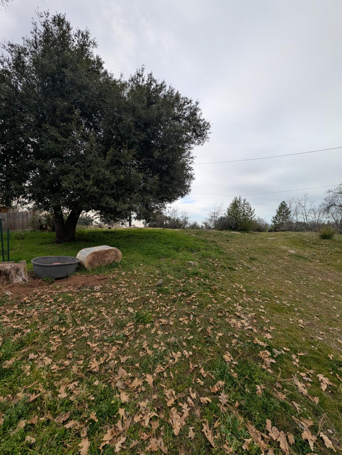 47233 Todd Eymann Road Miramonte, CA 93641 - Photo 21 of 29