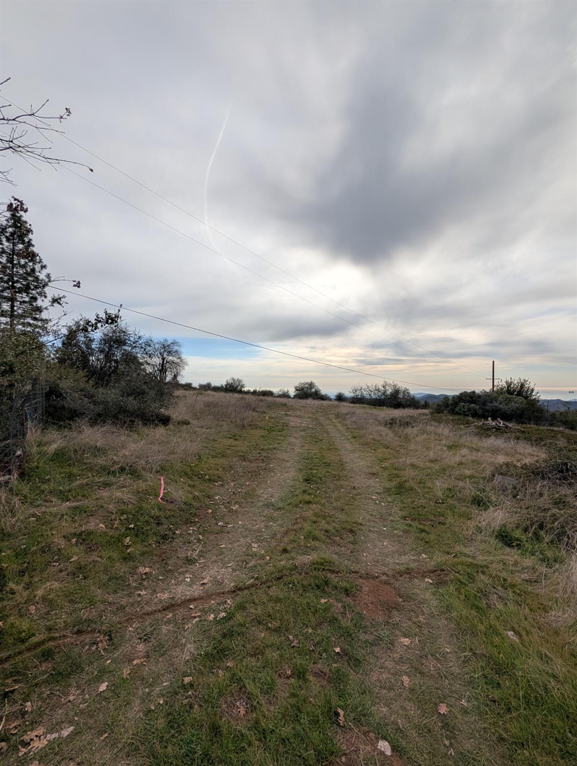 47233 Todd Eymann Road Miramonte, CA 93641 - Photo 23 of 29