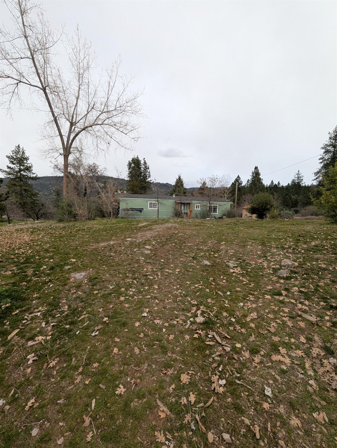 47233 Todd Eymann Road Miramonte, CA 93641 - Photo 25 of 29