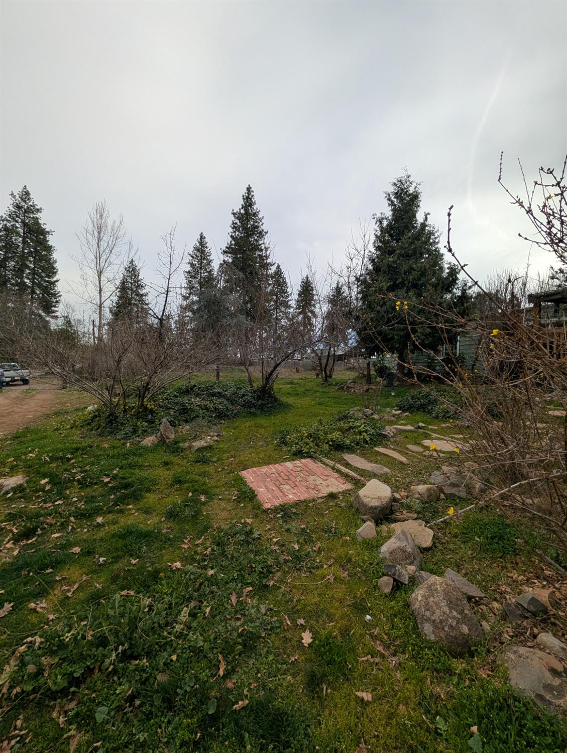 47233 Todd Eymann Road Miramonte, CA 93641 - Photo 27 of 29