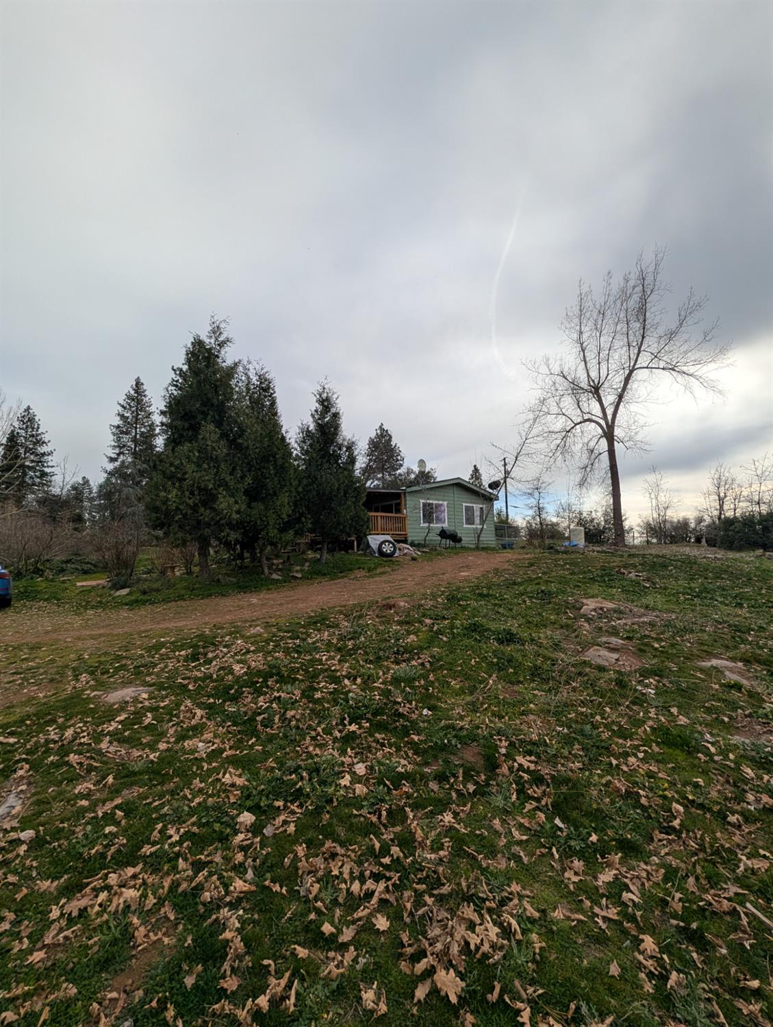 47233 Todd Eymann Road Miramonte, CA 93641 - Photo 28 of 29