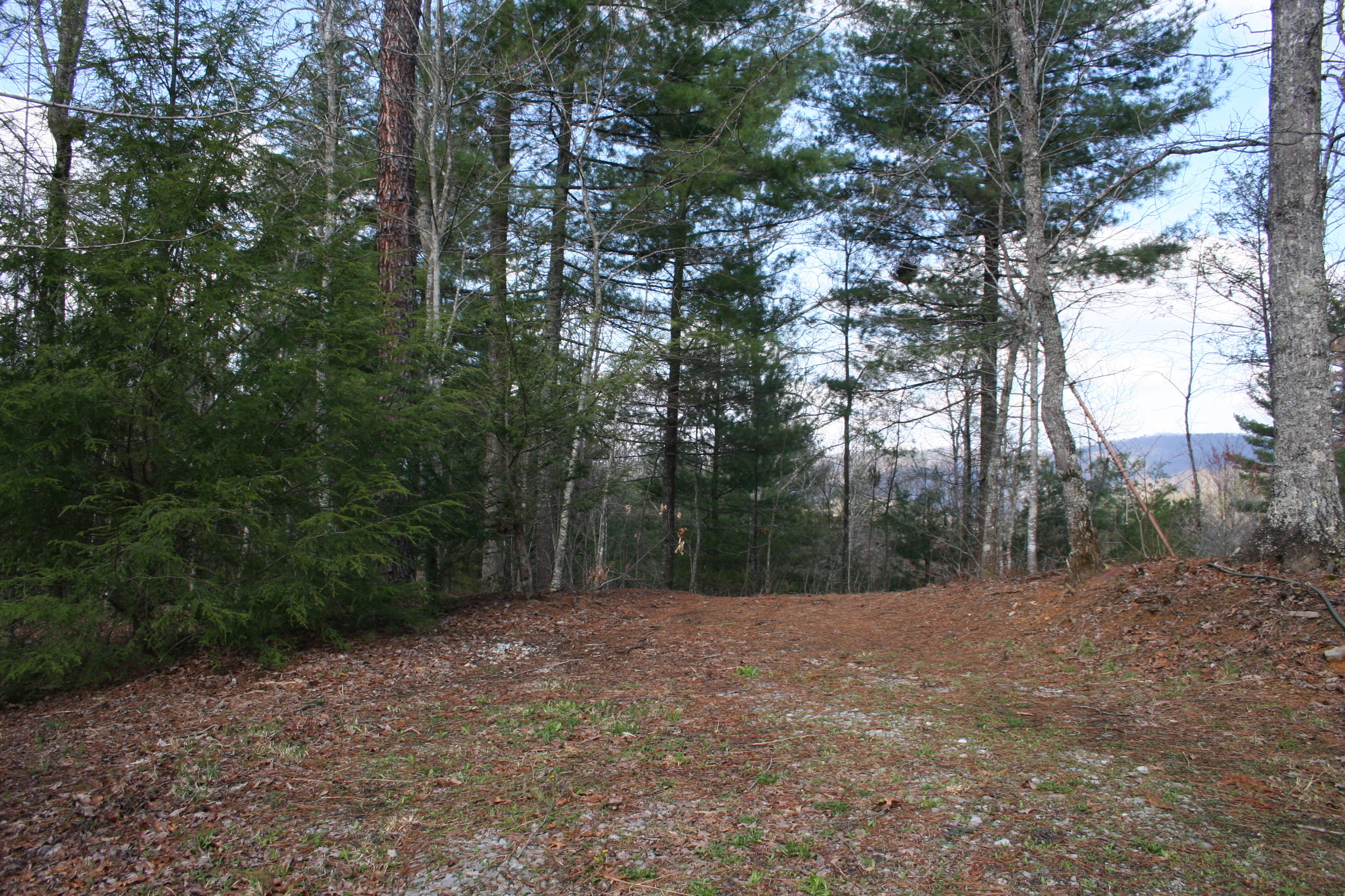 178 Fence Rail Gap Road Townsend, TN 37882 - Photo 1 of 9 view of possible building site