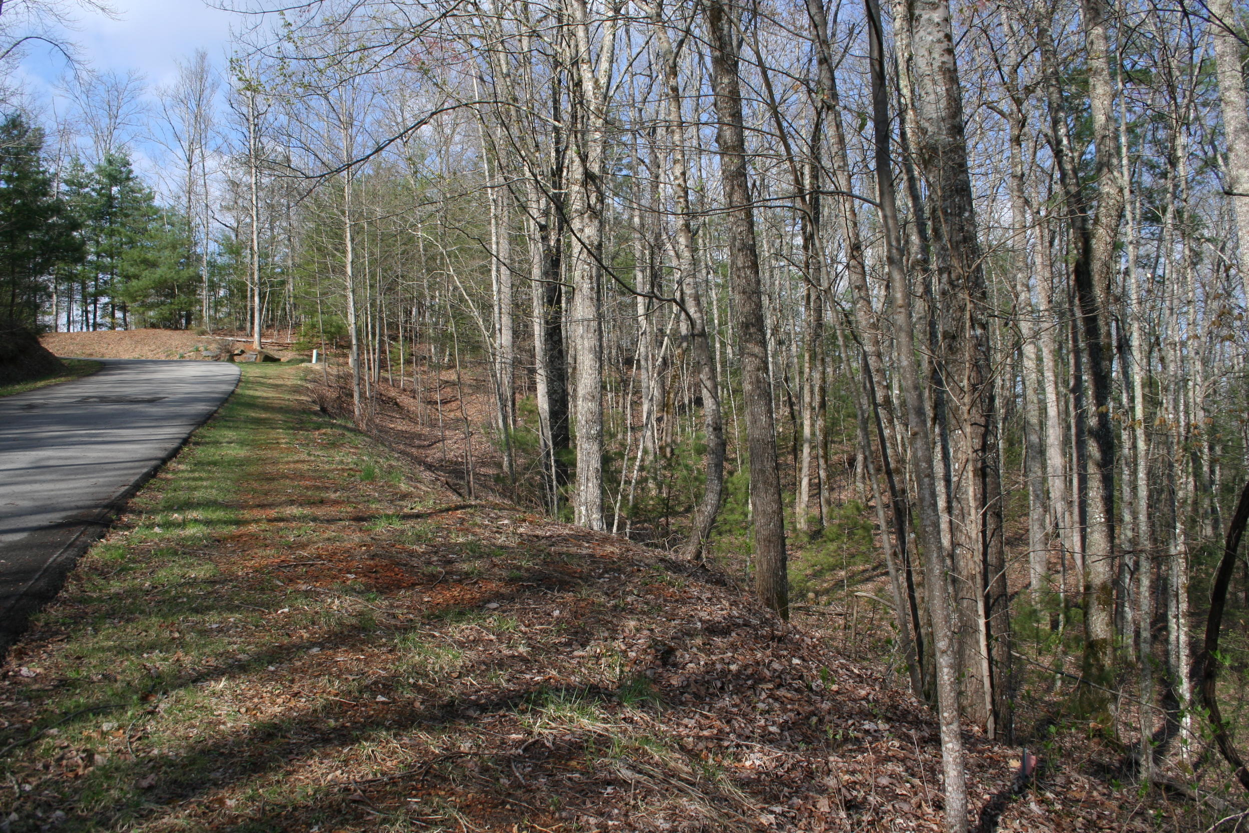 178 Fence Rail Gap Road Townsend, TN 37882 - Photo 8 of 9 view from north end of property