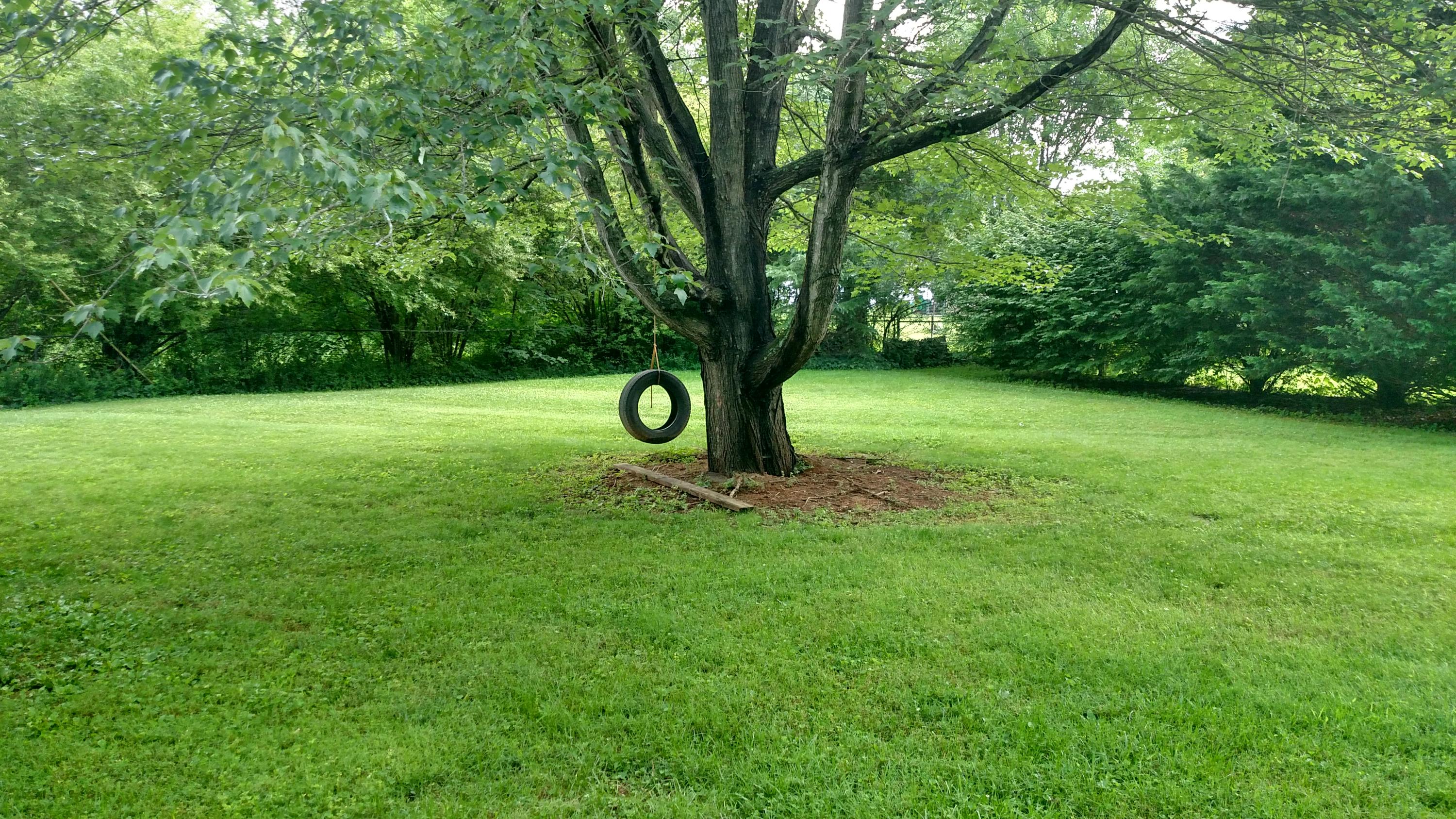 728 Piper Road Knoxville, TN 37919 - Photo 29 of 35 IMG_20150711_100949637_HDR