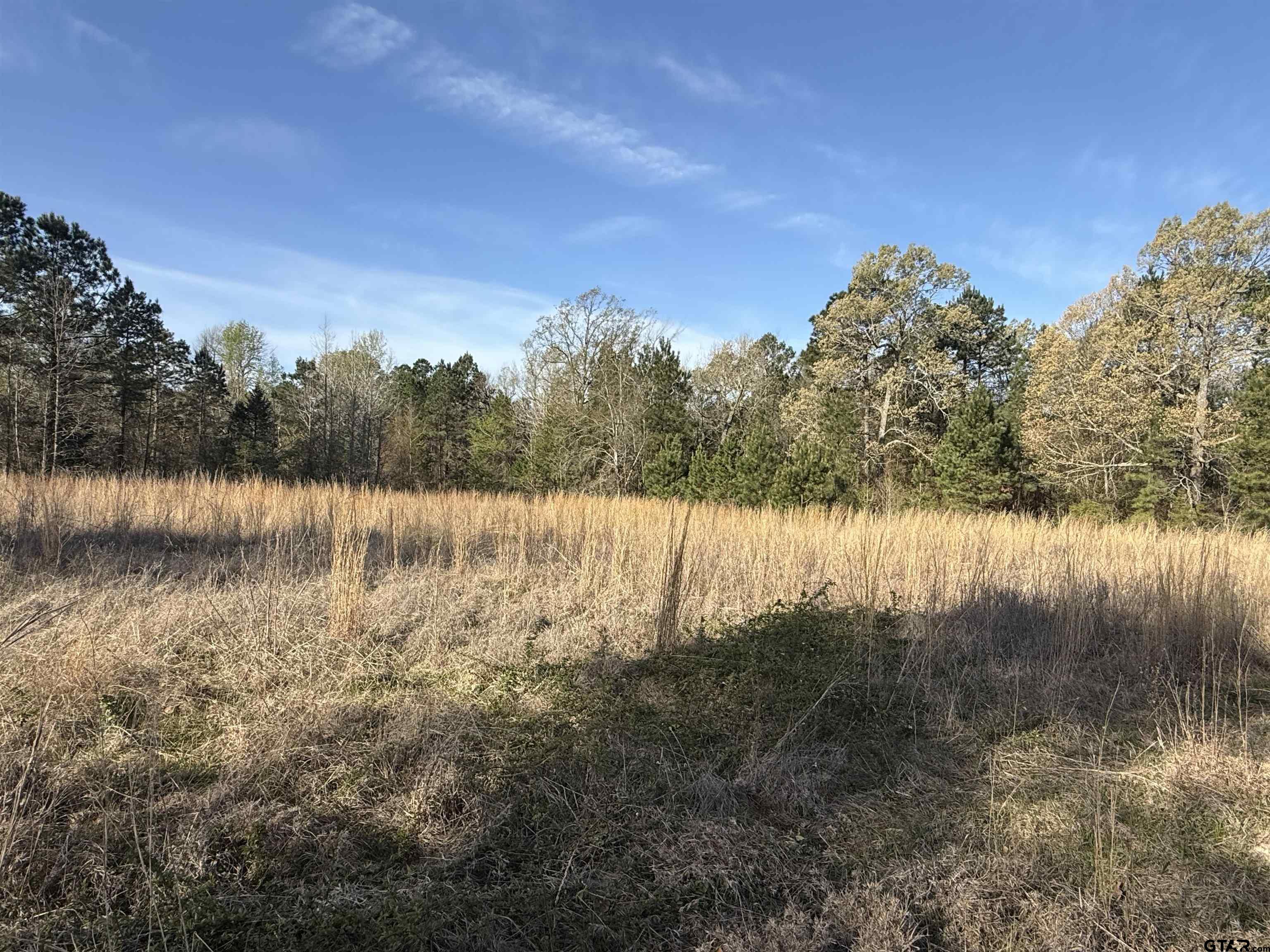 15830 Shady Creek Road Tyler, TX 75705 - Photo 8 of 18 a view of lake with green space