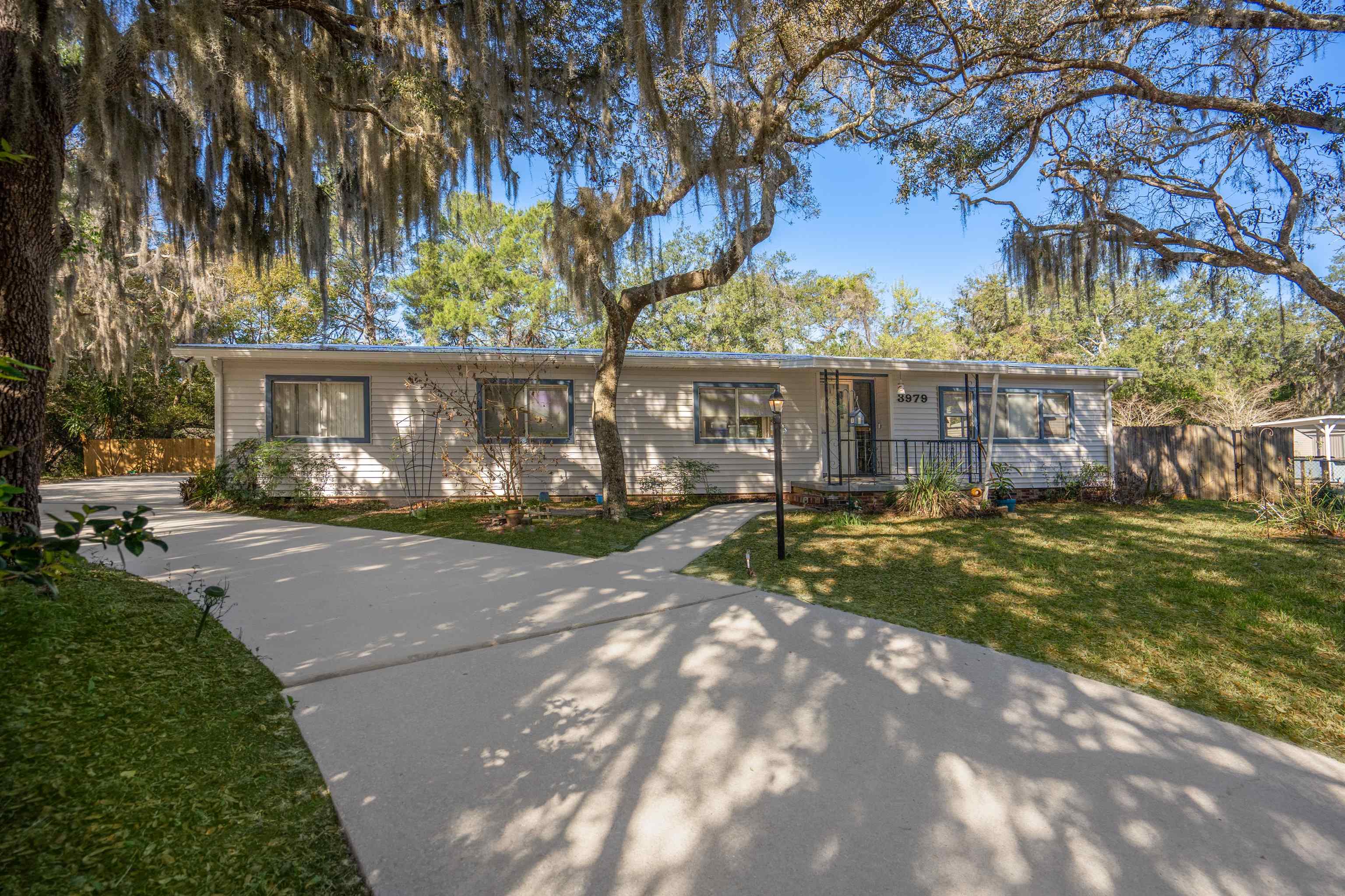 a view of a street with a large trees