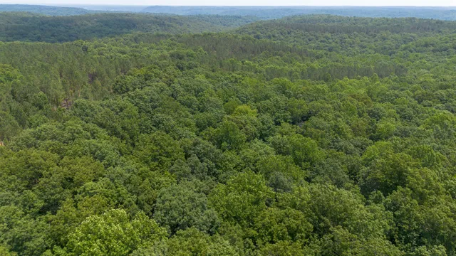 a view of a field of grass and mountain