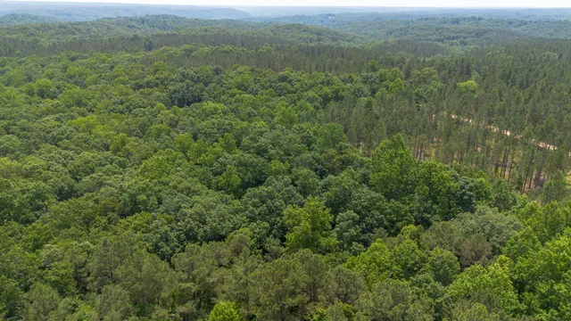 a view of a green field with lots of trees
